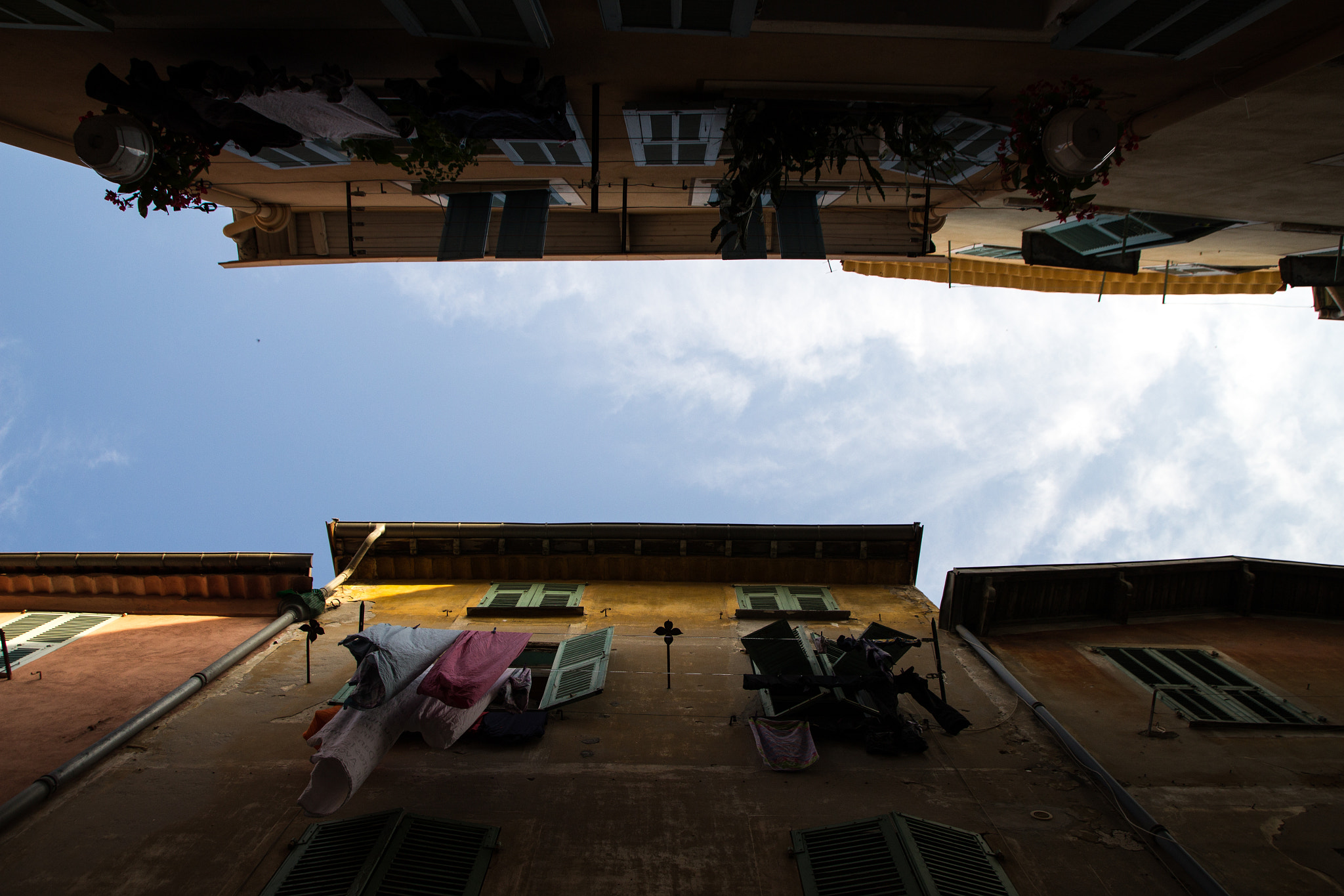 Canon EF-S 17-55mm F2.8 IS USM sample photo. From beneath photography