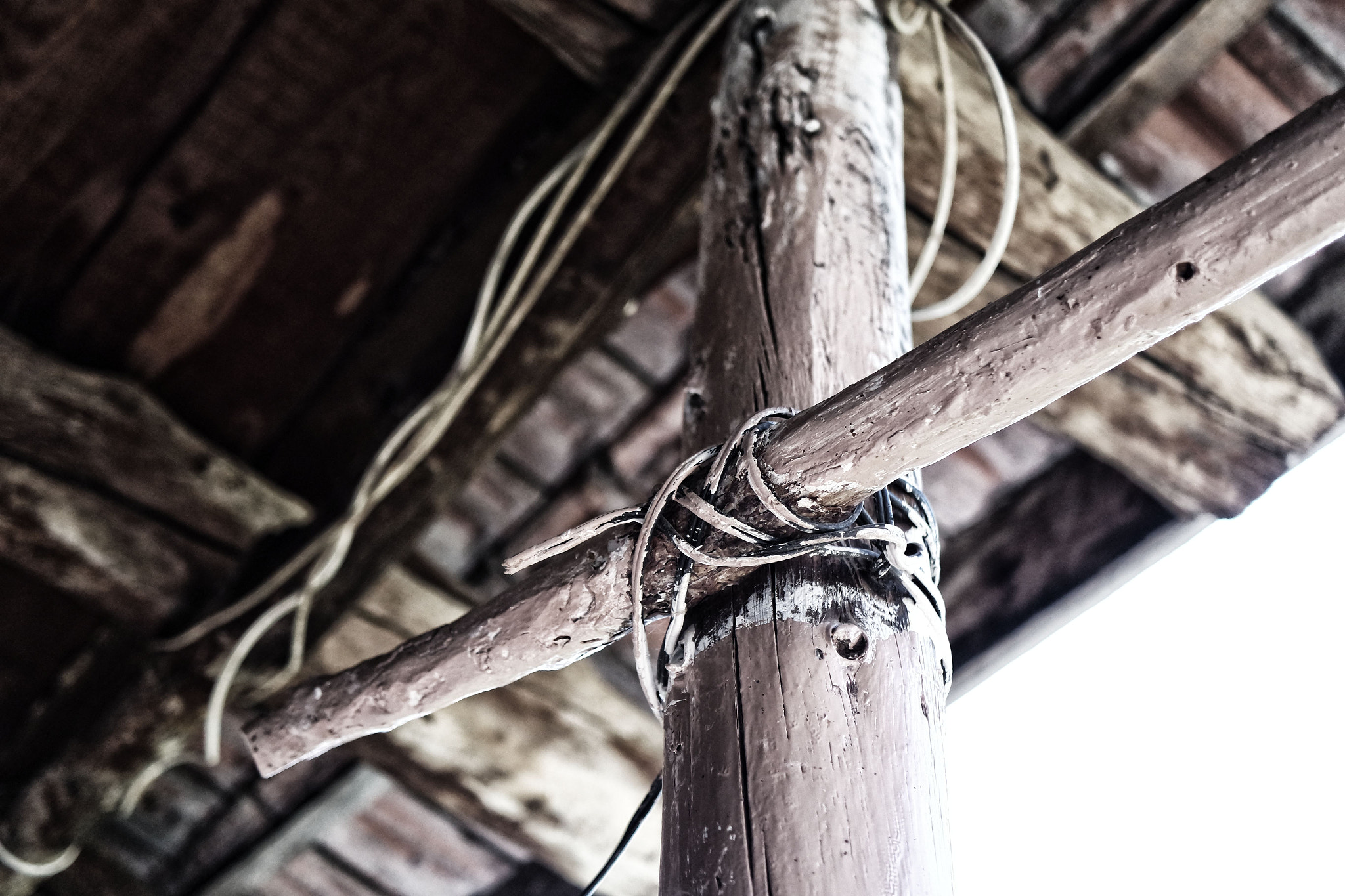 NX-M 17mm F1.8 sample photo. Plus + photography