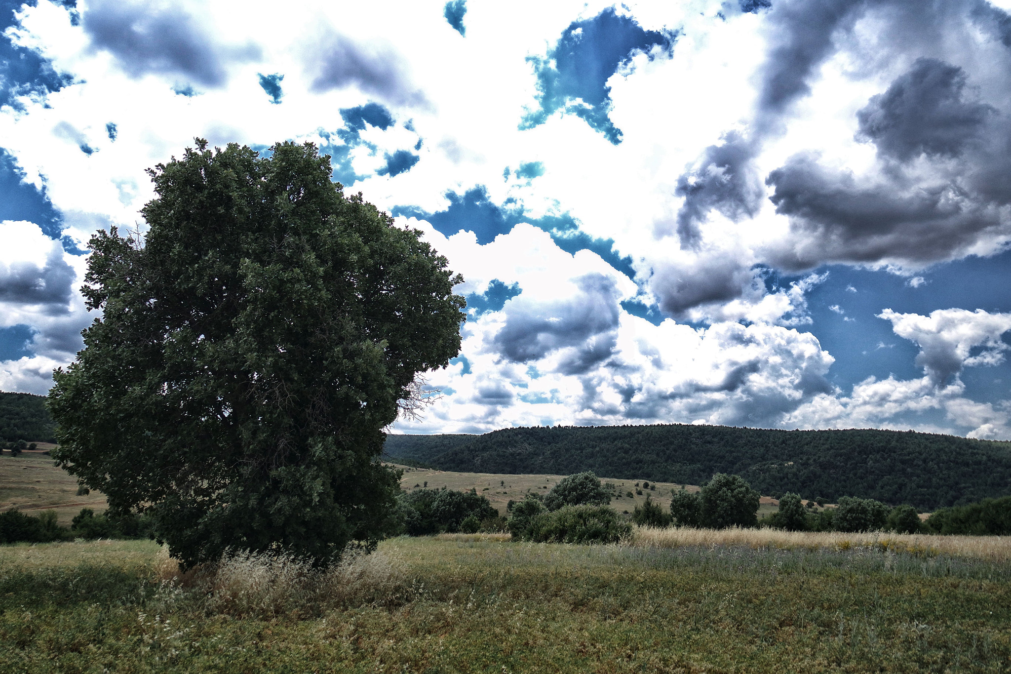 Samsung NX mini sample photo. 28274188975.jpg photography