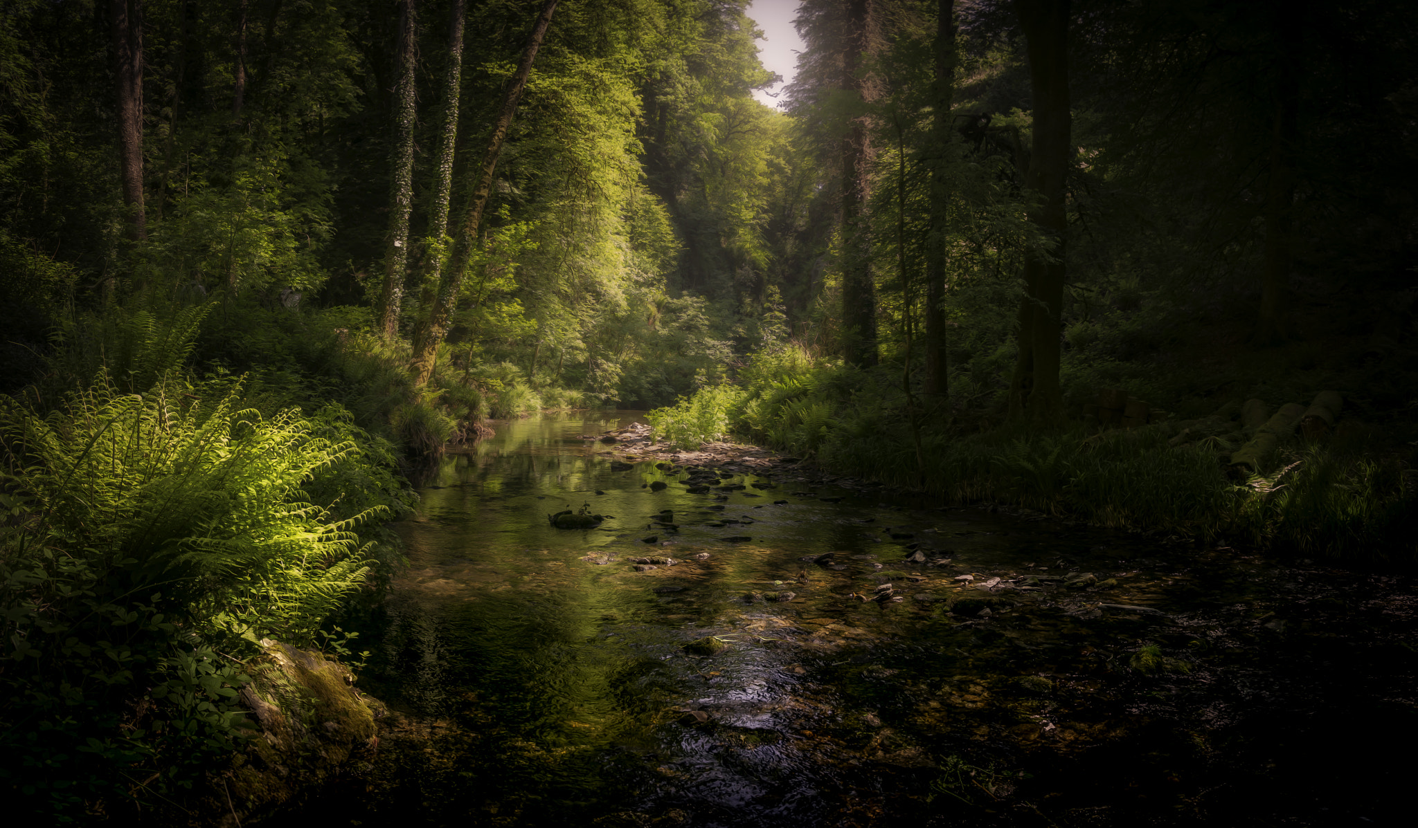 Panasonic Lumix DMC-GX1 + Panasonic Lumix G 14mm F2.5 ASPH sample photo. Lydford gorge photography