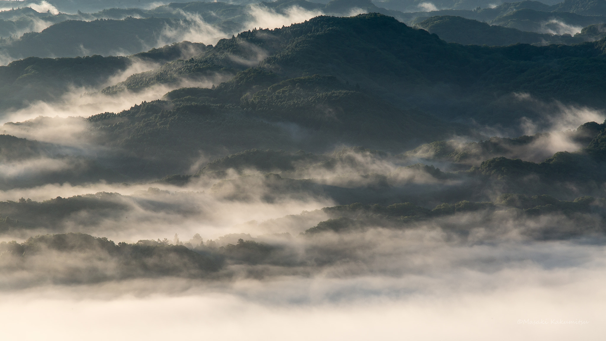 Canon EF 70-200mm F4L IS USM sample photo. To the sky photography