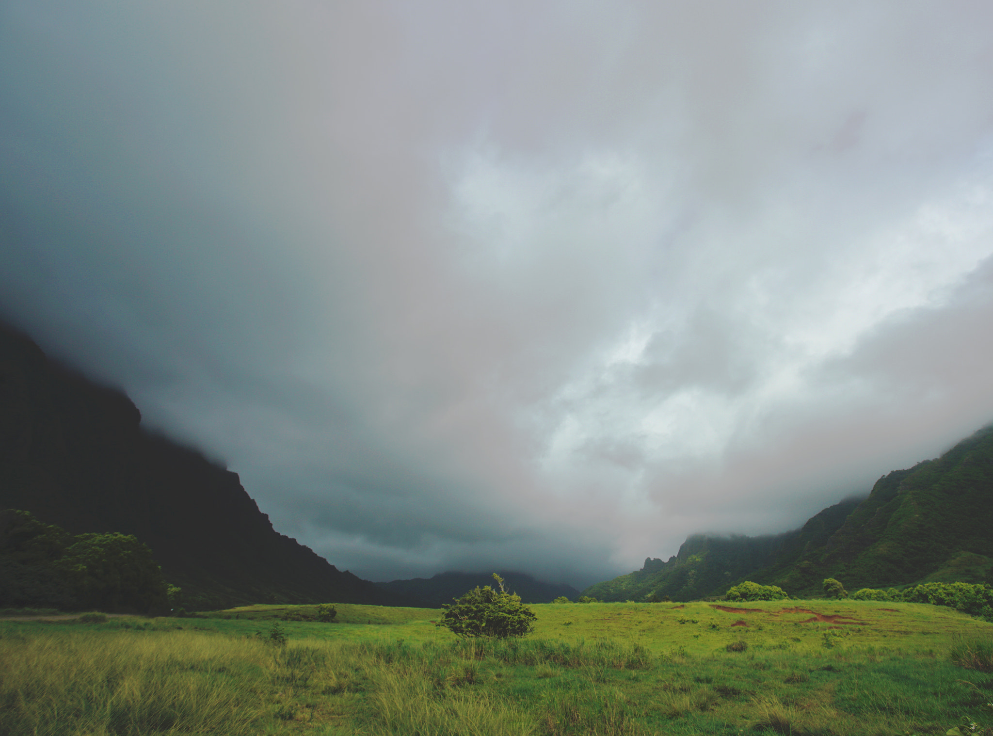 Sony a7R II + 17-40mm F4 G SSM sample photo