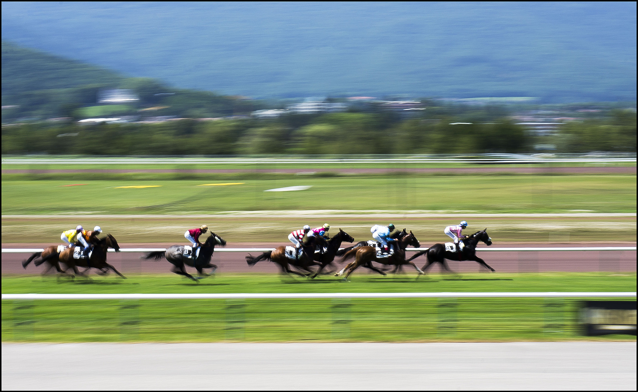 Sony Alpha NEX-5 + E 50mm F1.8 OSS sample photo. Horse spun 1 photography