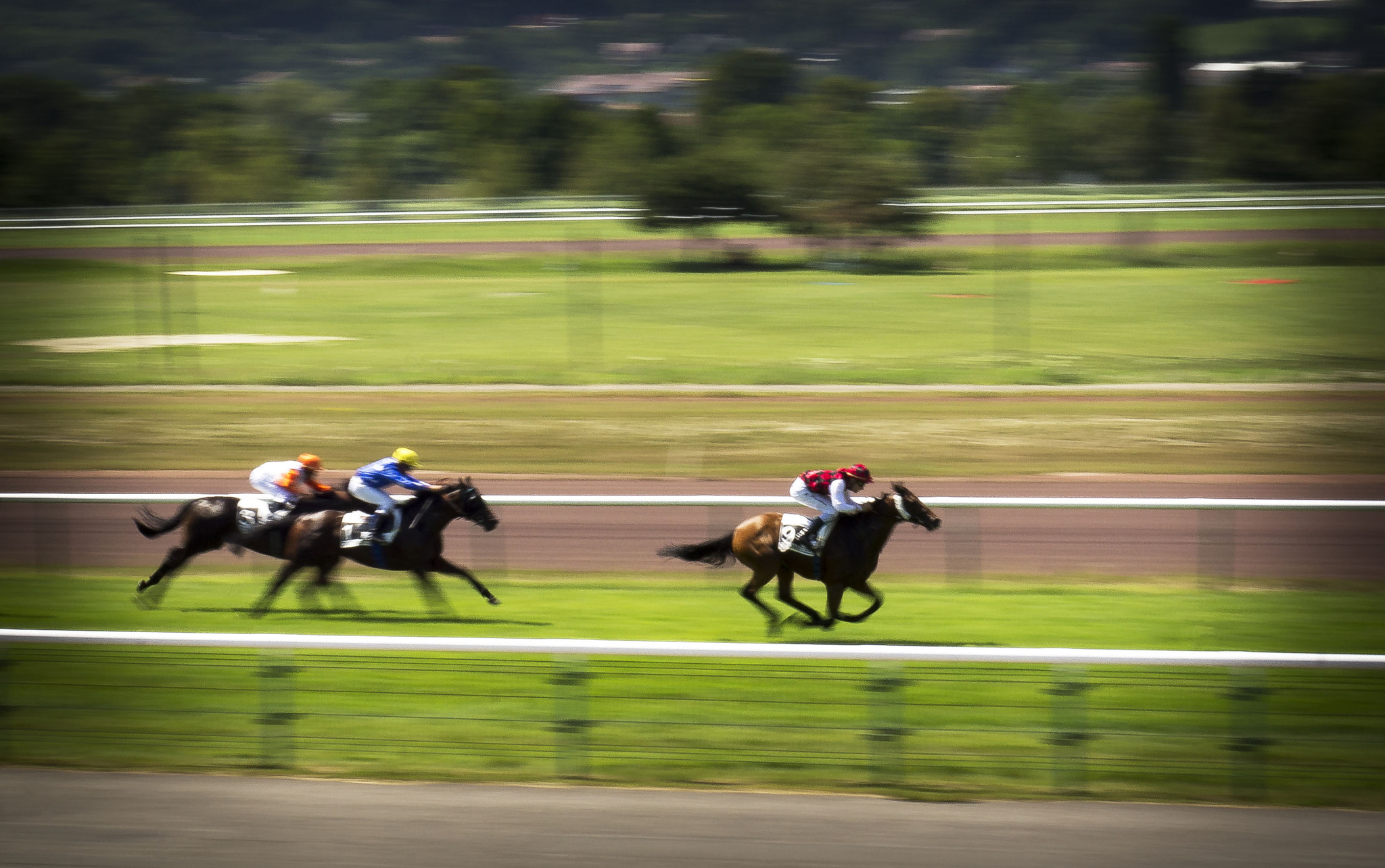Sony Alpha NEX-5 + E 50mm F1.8 OSS sample photo. Horse spun 2 photography