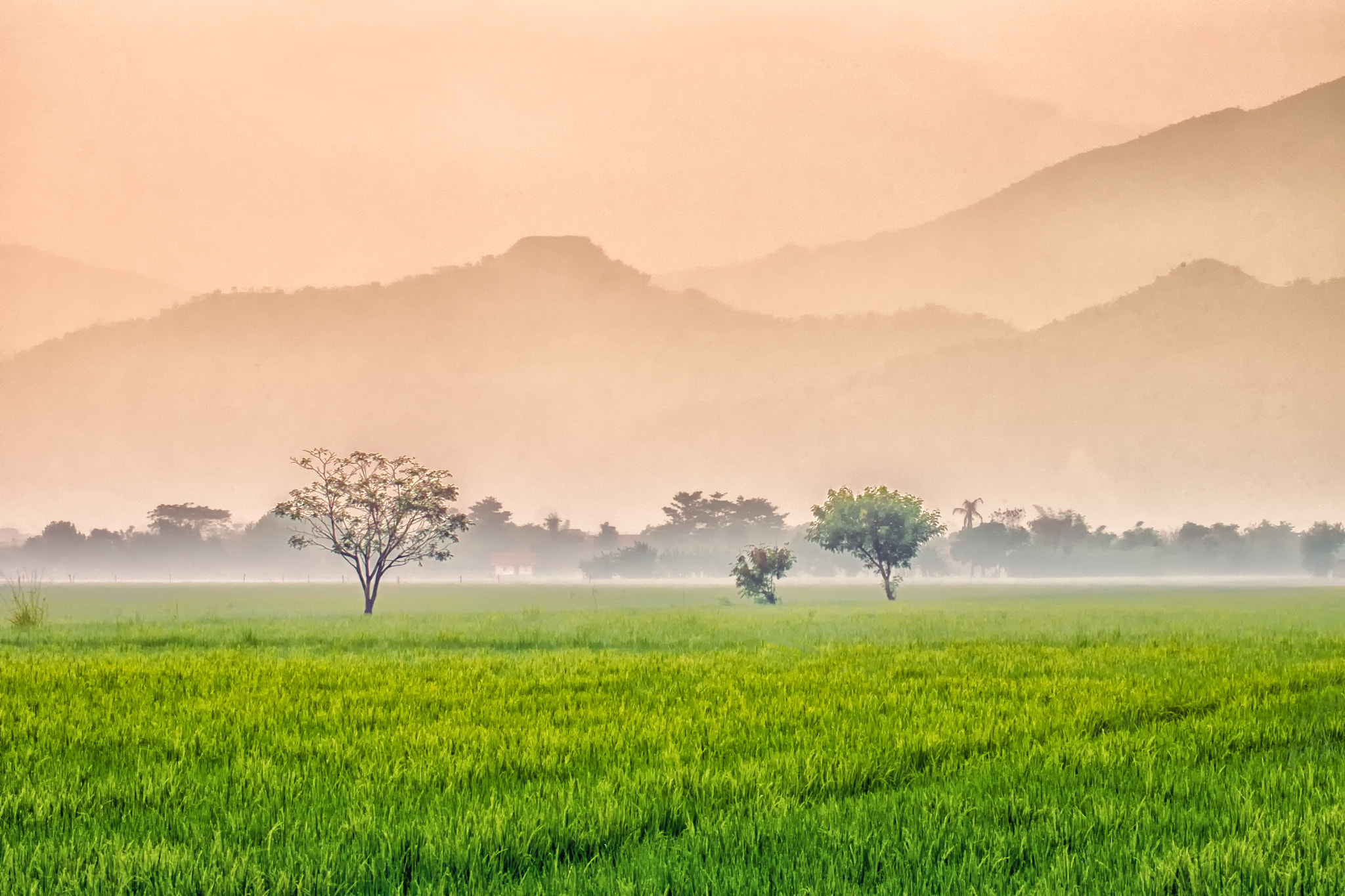 Fujifilm X-M1 + Fujifilm XC 50-230mm F4.5-6.7 OIS II sample photo. Vast farmland photography