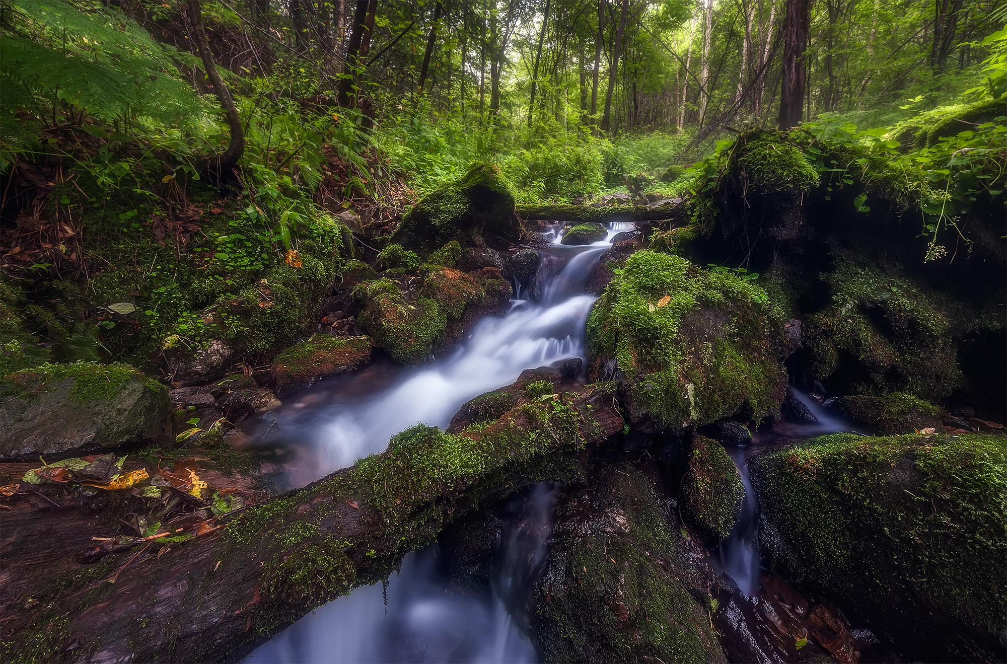 Nikon D3X sample photo. The brook is running photography