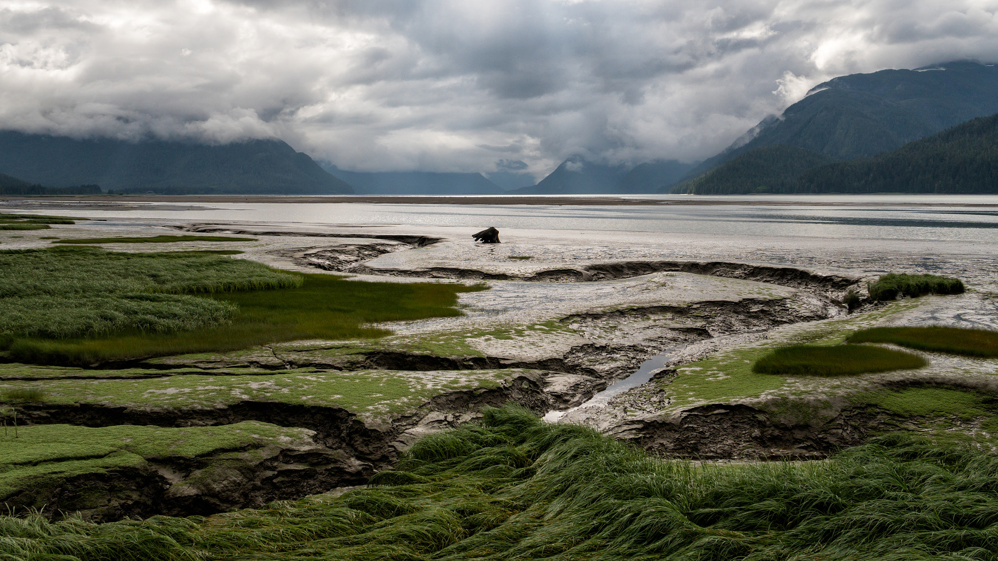 Sony E 18-200mm F3.5-6.3 OSS sample photo. 'skeena estuary' photography