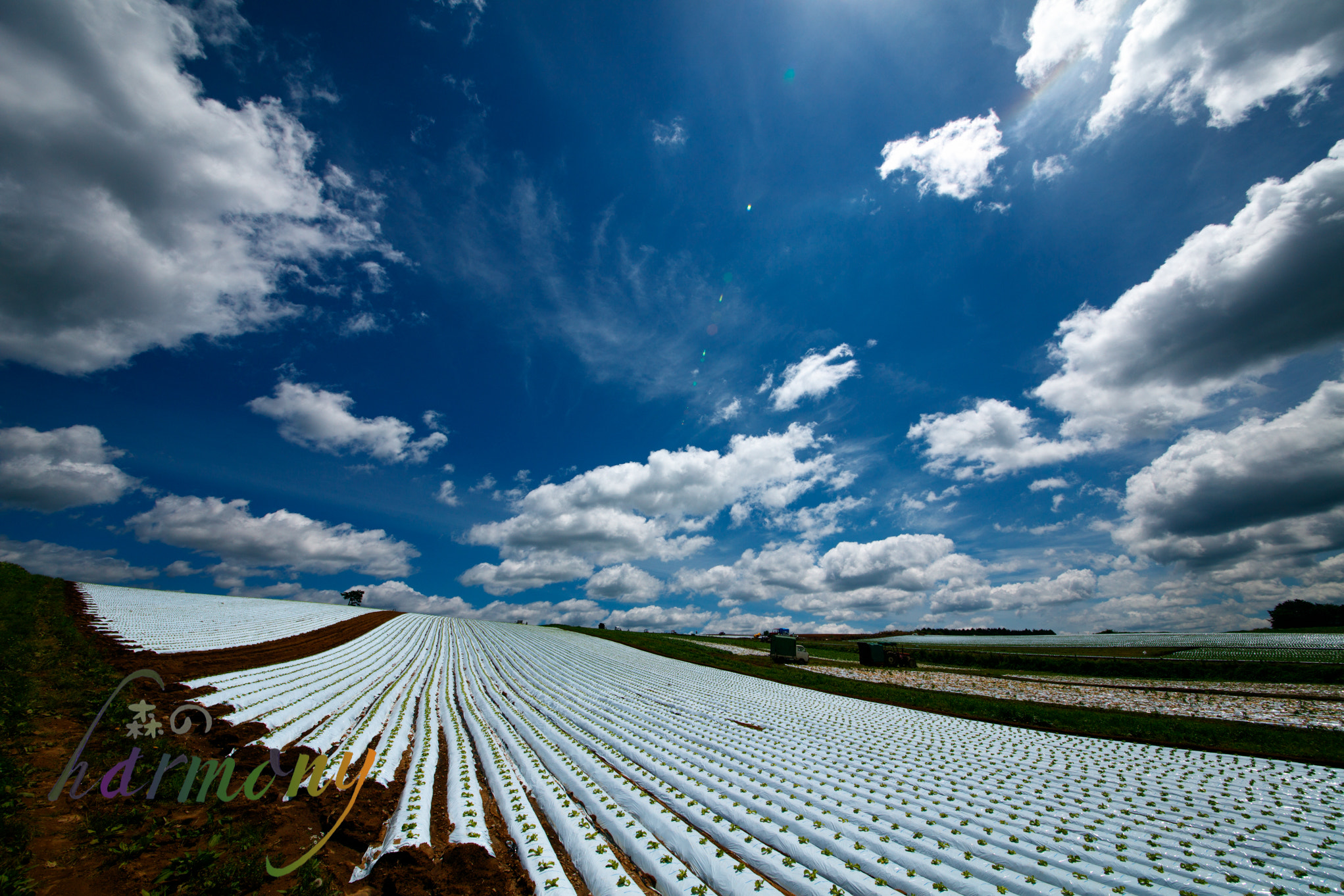 Canon EOS 5DS + Sigma 12-24mm F4.5-5.6 II DG HSM sample photo. 5ds_3762.jpg photography