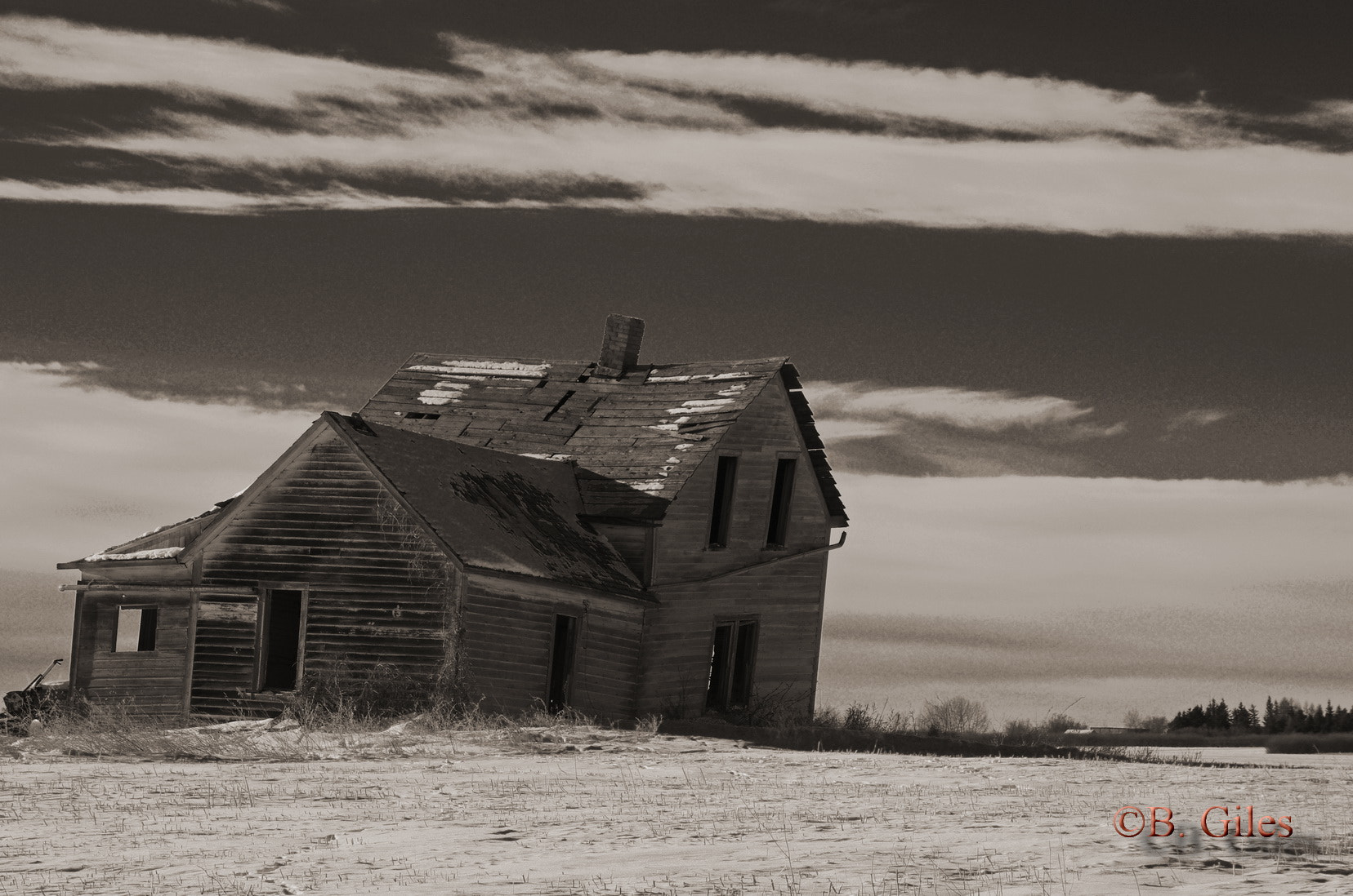 Pentax K-5 IIs sample photo. Starting to lean photography