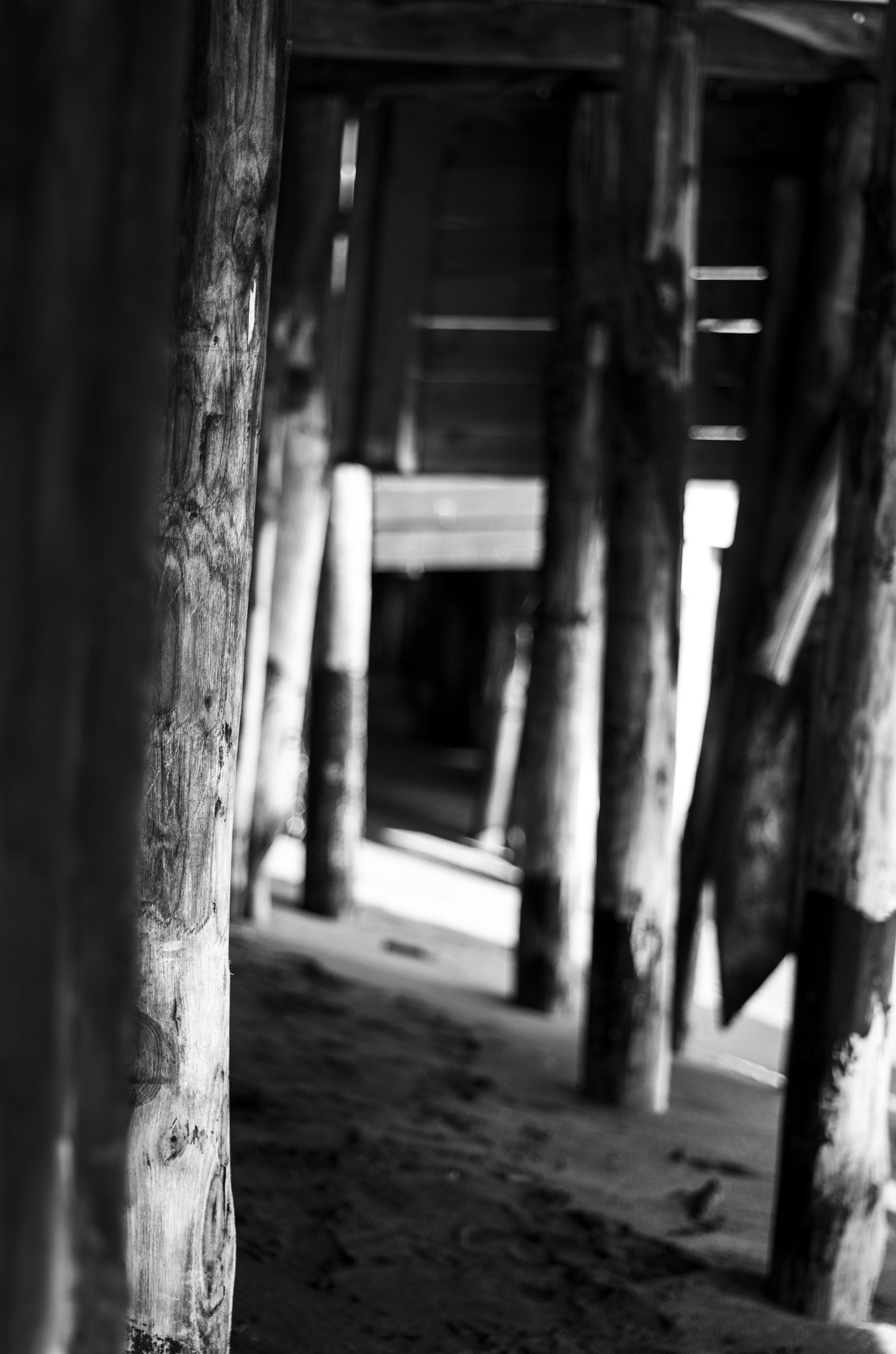 Pentax K-50 + A Series Lens sample photo. 26879467791.jpg photography