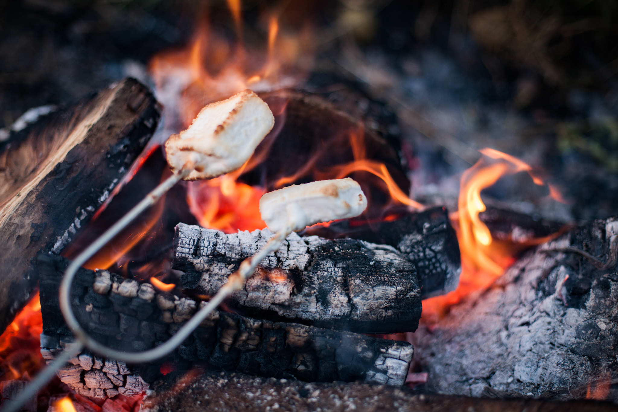 Canon EOS-1Ds Mark III + Canon EF 50mm F1.4 USM sample photo. Smores over a fire photography