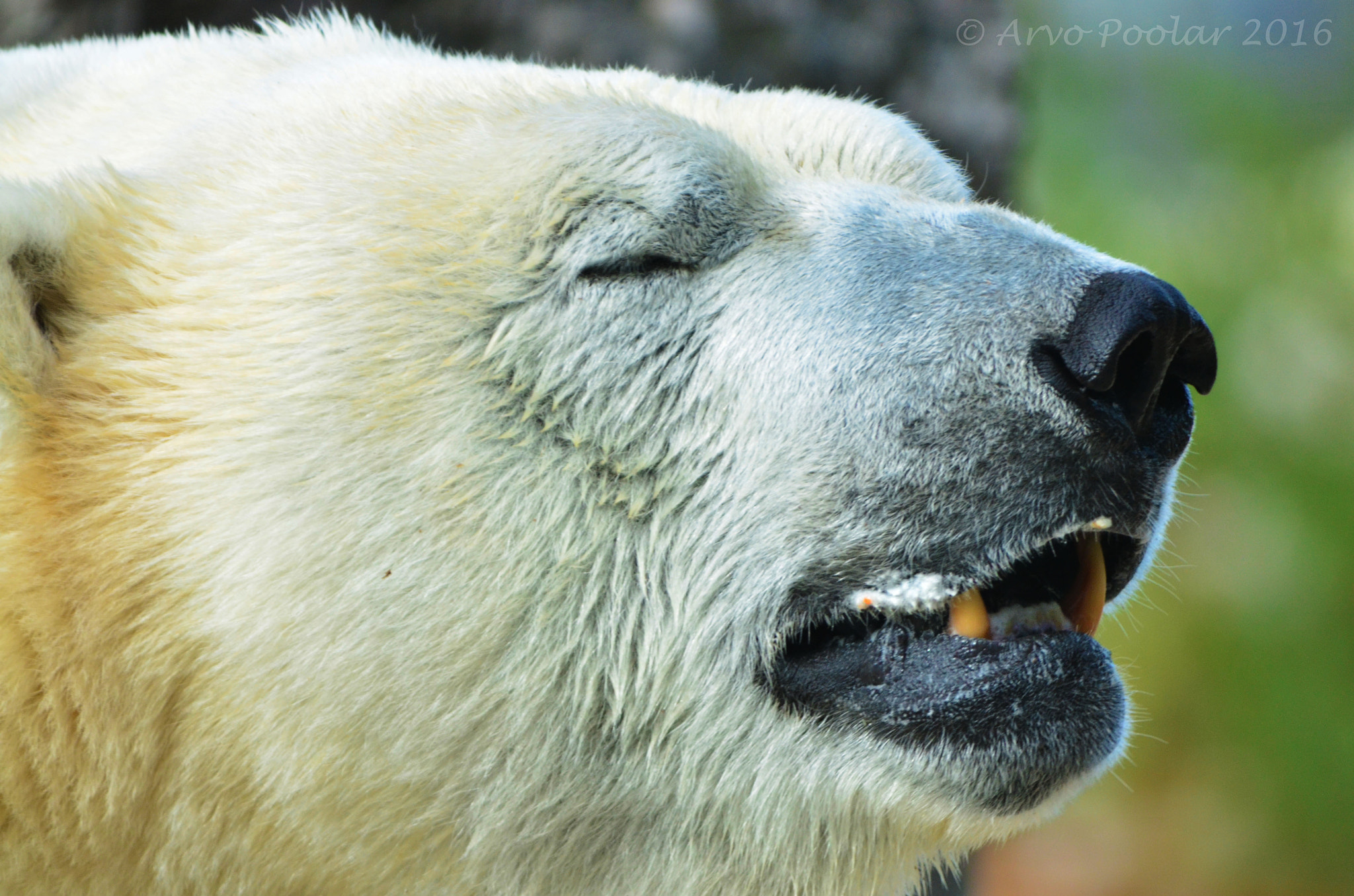 FSA-L2, EDG 65, 800mm F13 G sample photo. Inukshuk photography