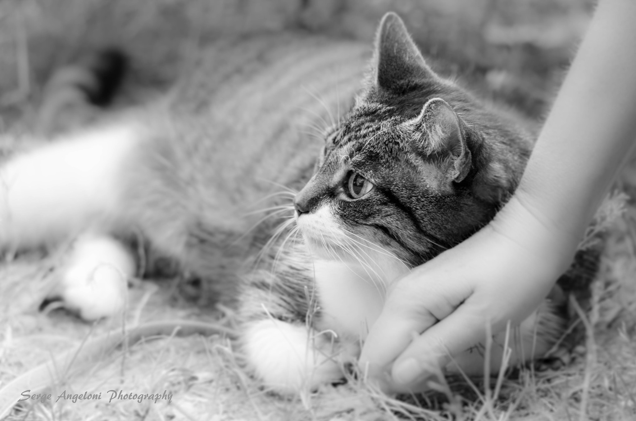 Canon EOS-1Ds Mark III sample photo. To be reassured photography
