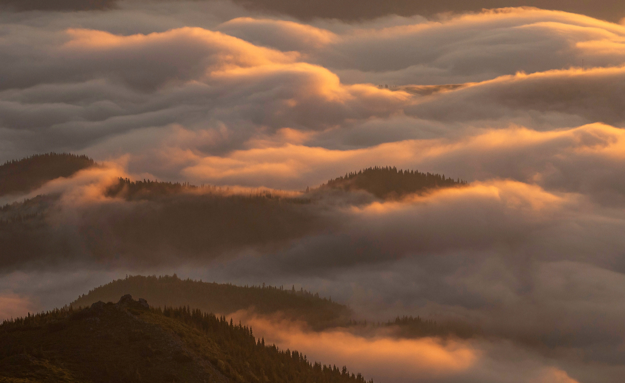 Nikon D300 + AF Zoom-Nikkor 80-200mm f/4.5-5.6D sample photo. Awakening photography