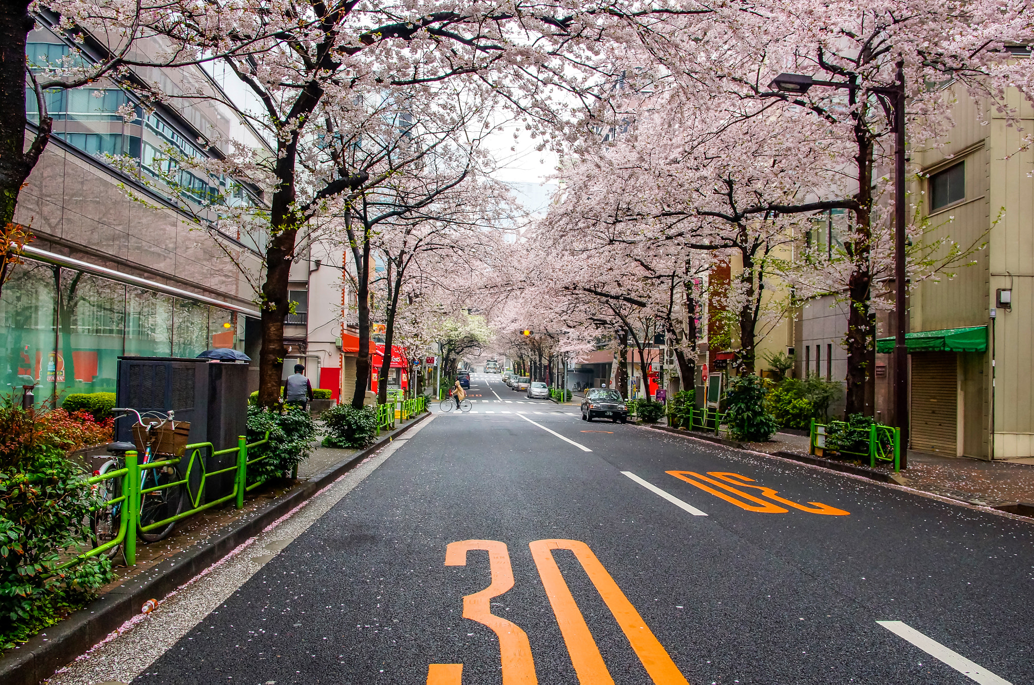Sigma 17-70mm F2.8-4 DC Macro HSM sample photo. Cherry blossoms in japan photography