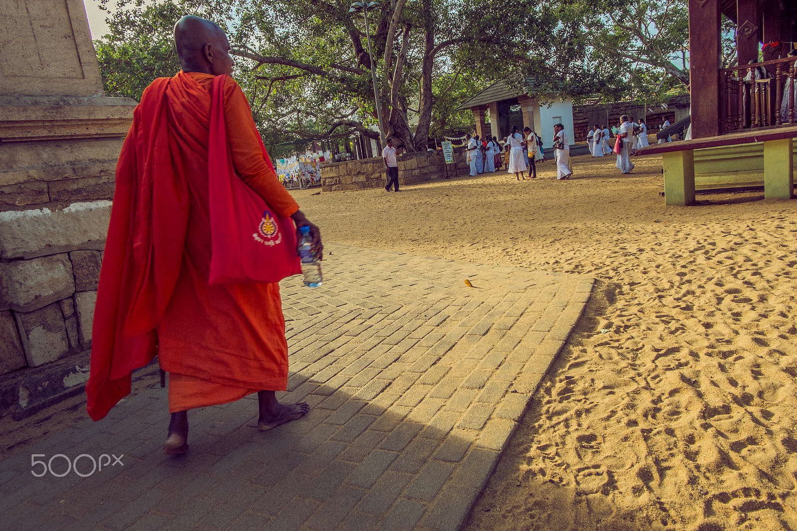 Fujifilm XC 16-50mm F3.5-5.6 OIS sample photo. Buddhist monk near to bodhi tree, anuradhapure photography