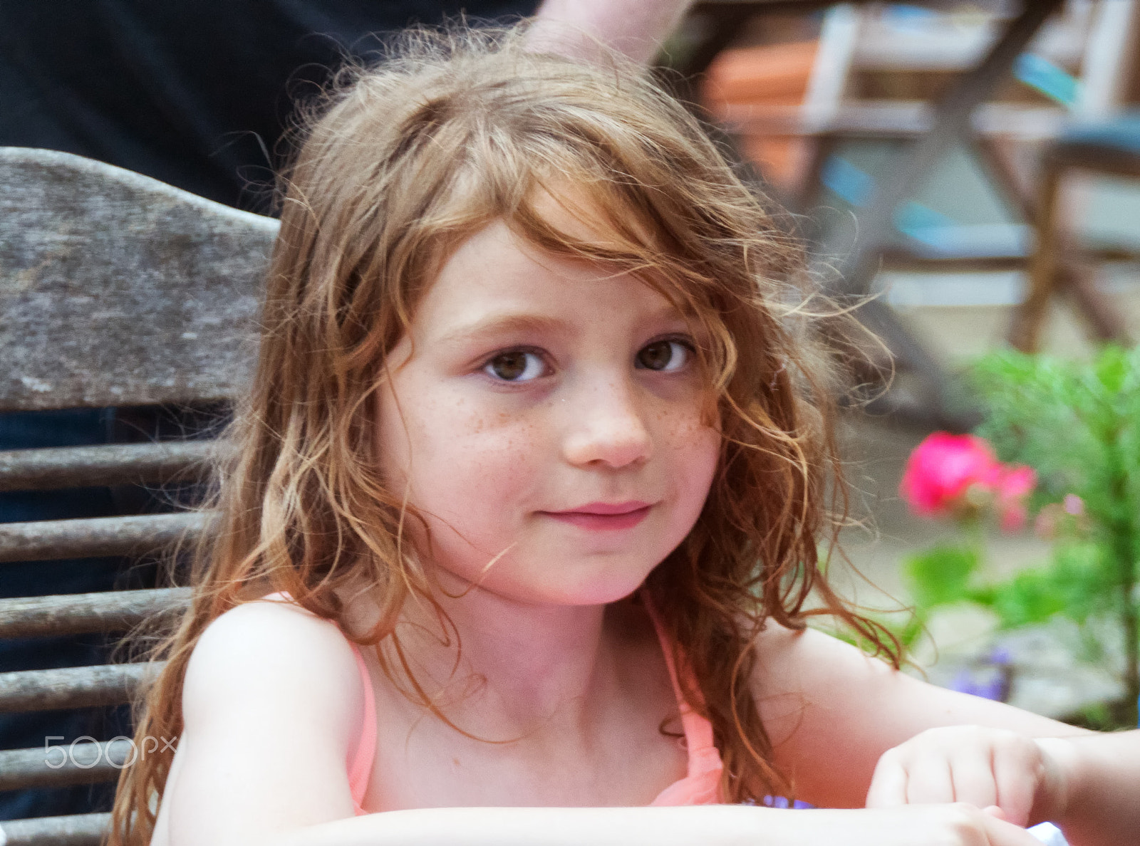 Sony DT 18-250mm F3.5-6.3 sample photo. Lily 4 photography