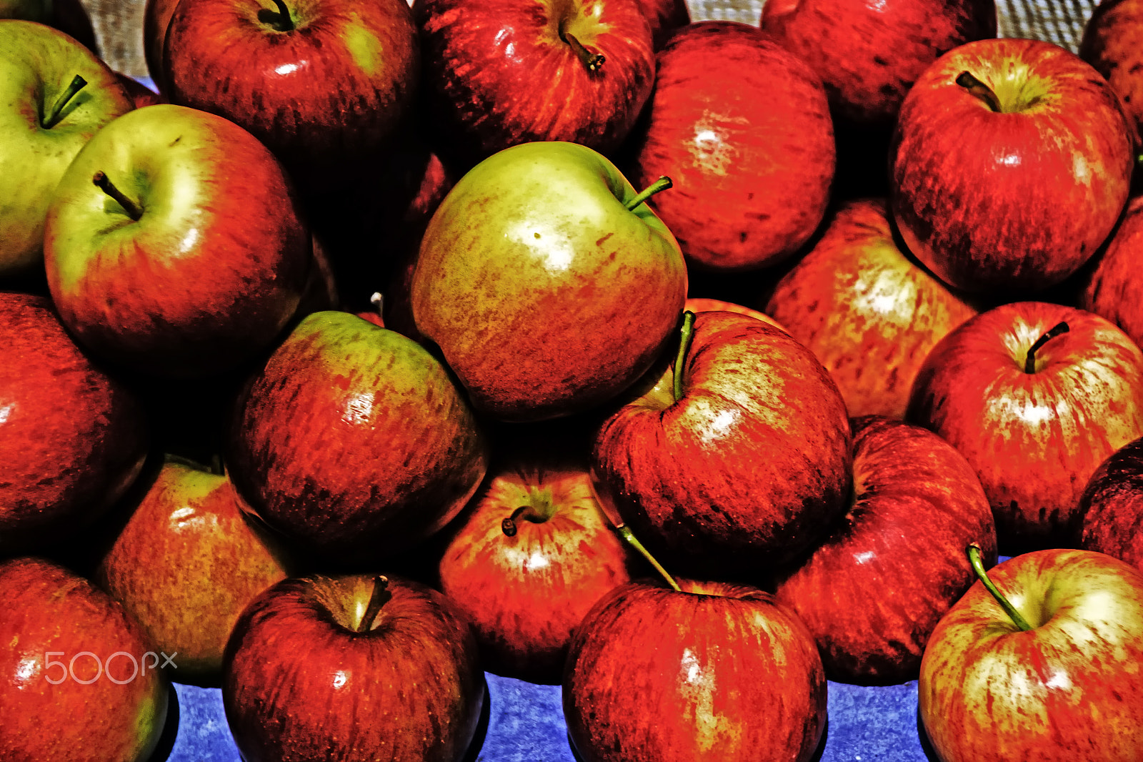Sony DT 18-250mm F3.5-6.3 sample photo. Garden apples photography