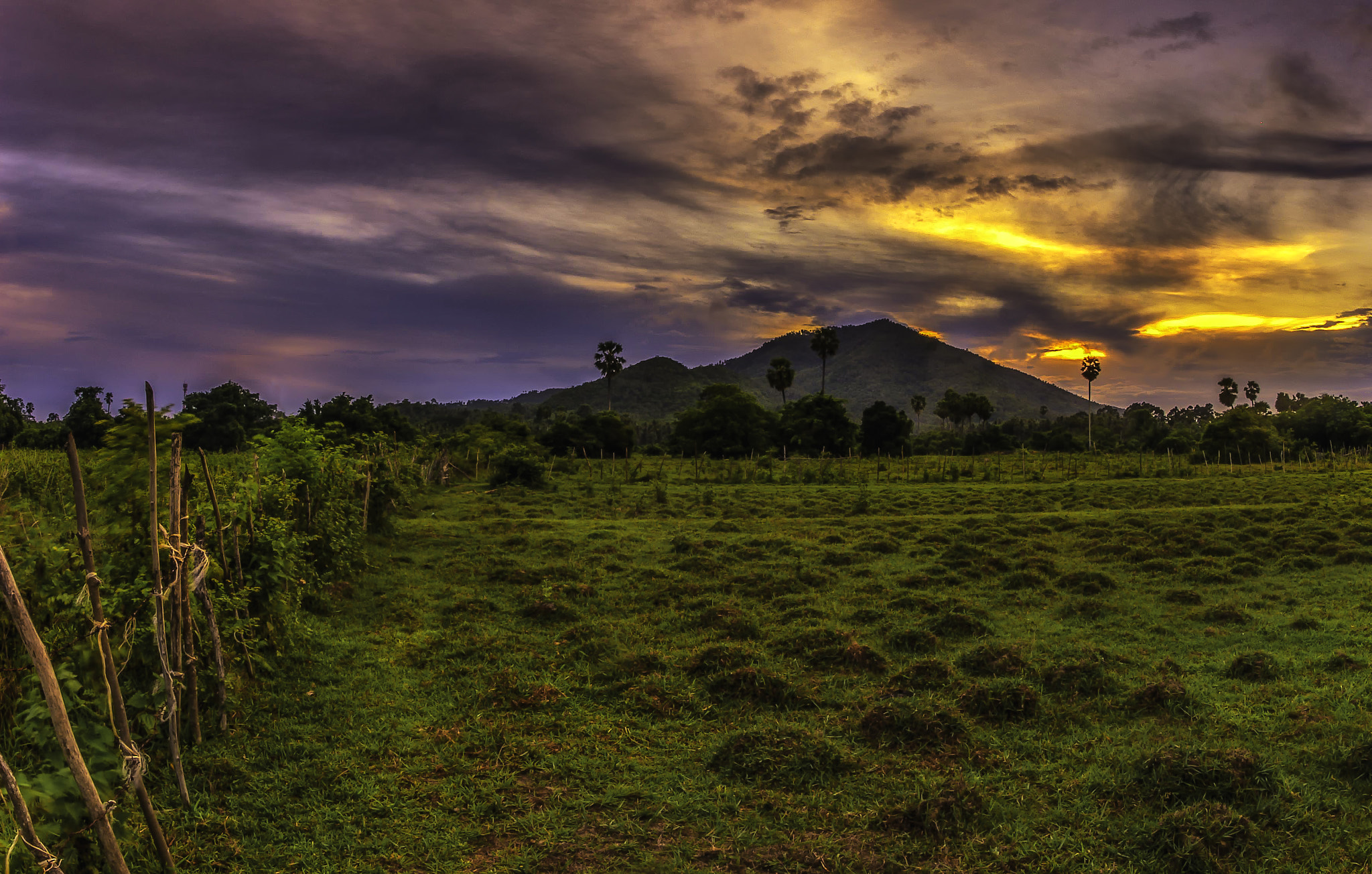 Nikon D200 + Nikon AF Fisheye-Nikkor 16mm F2.8D sample photo. Over the field photography