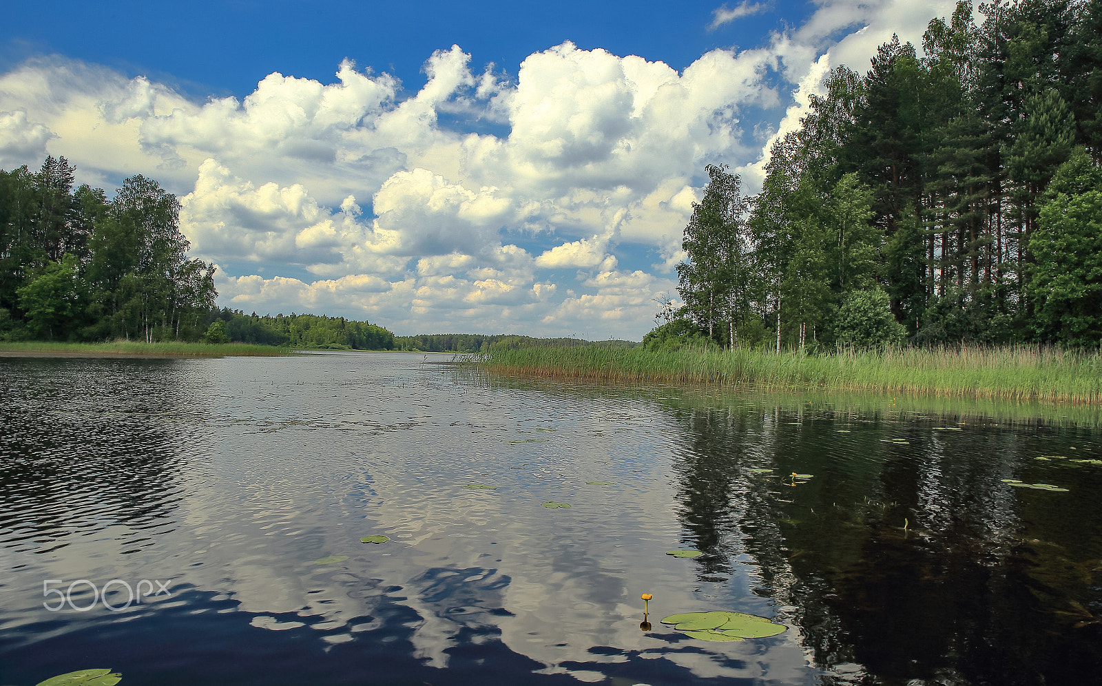 Canon EF 28-80mm f/2.8-4L sample photo. Landscape on the lake photography
