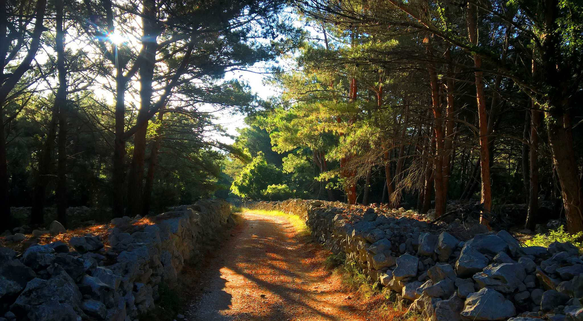 Microsoft Lumia 640 XL sample photo. The long road to the sea photography