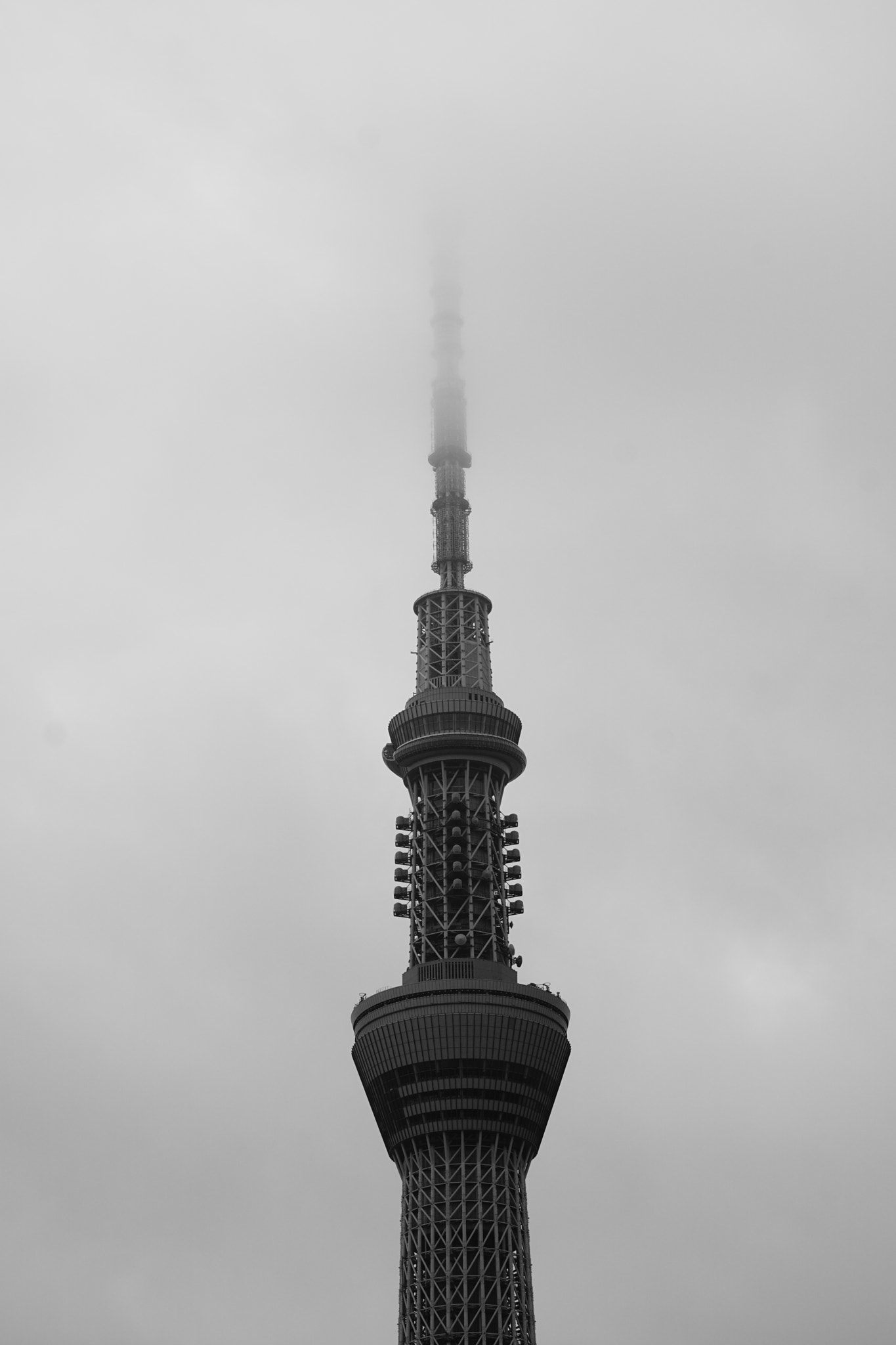 Sony a6300 + Sony FE 70-200mm F4 G OSS sample photo. In the fog photography