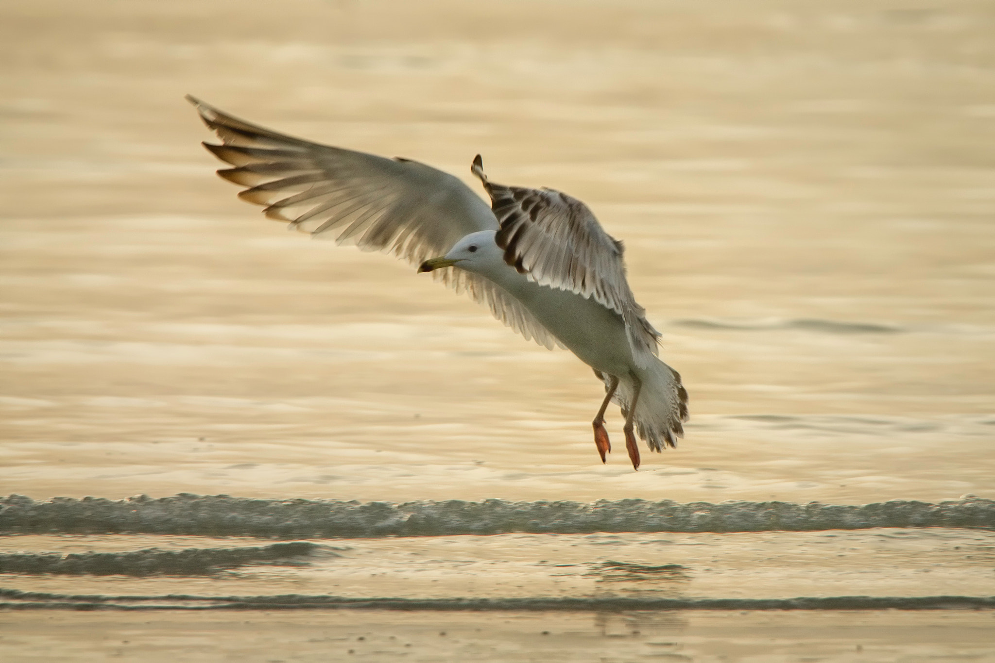 Tamron SP 150-600mm F5-6.3 Di VC USD sample photo. Land photography