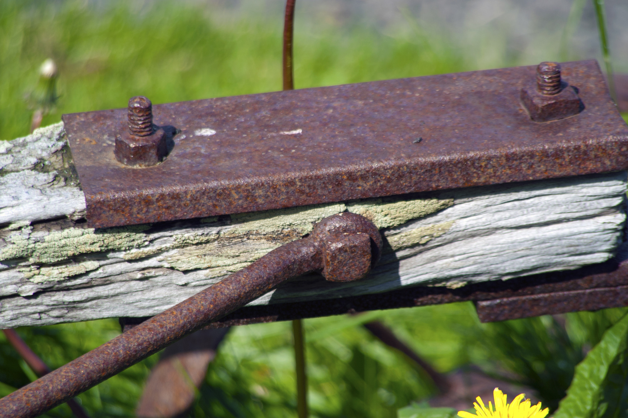KONICA MINOLTA MAXXUM 5D sample photo. Wood meets metal photography