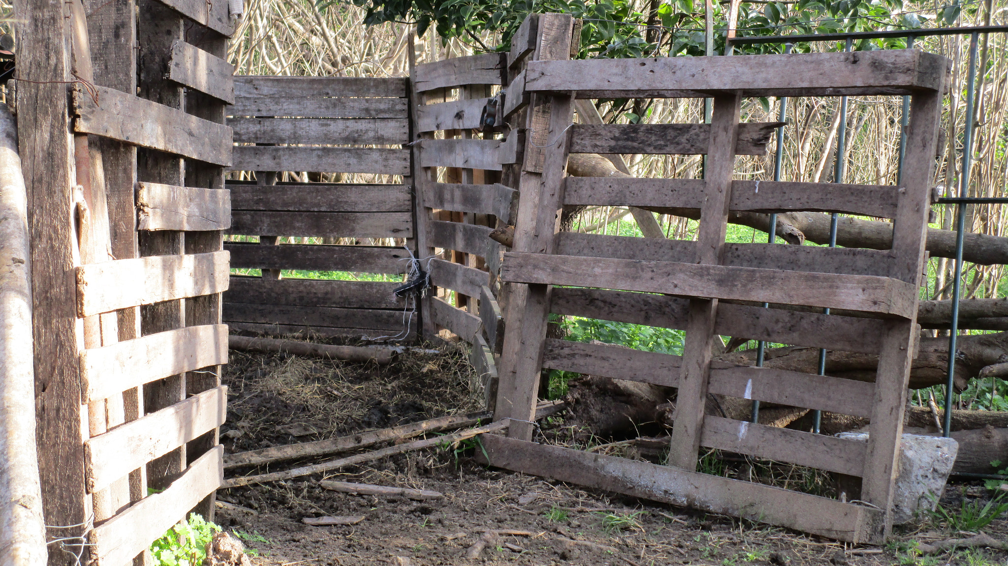 Canon PowerShot ELPH 150 IS (IXUS 155 / IXY 140) sample photo. "alla en el campo....." julio 2014 photography