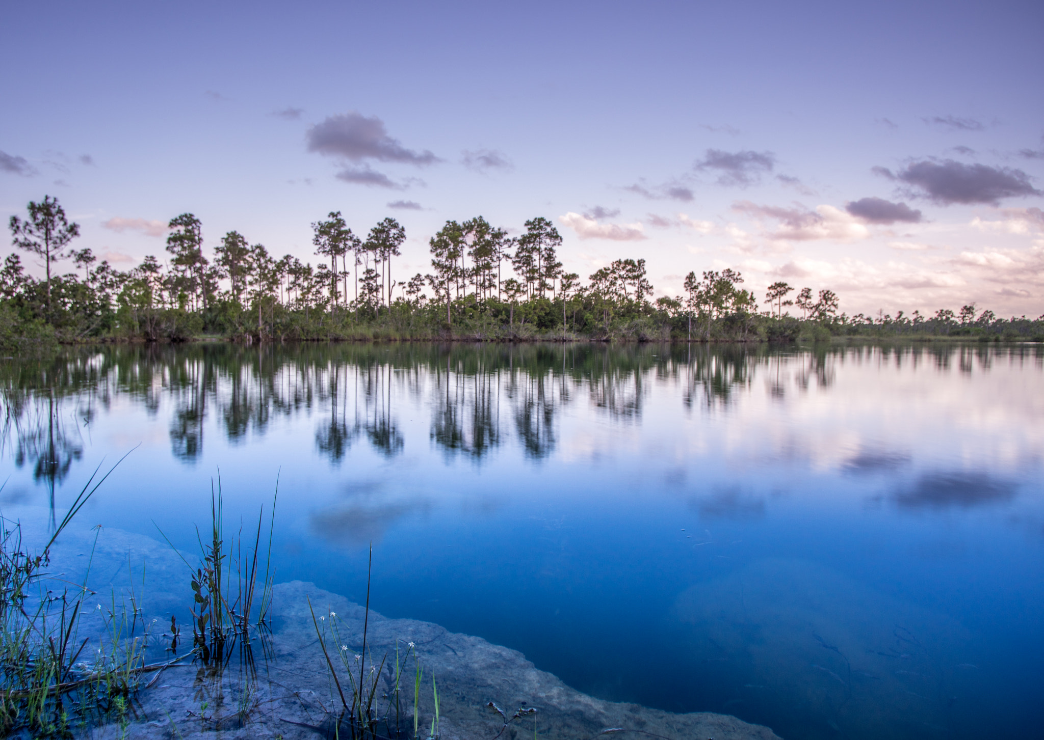 Pentax K-3 sample photo. Everglades sunset photography