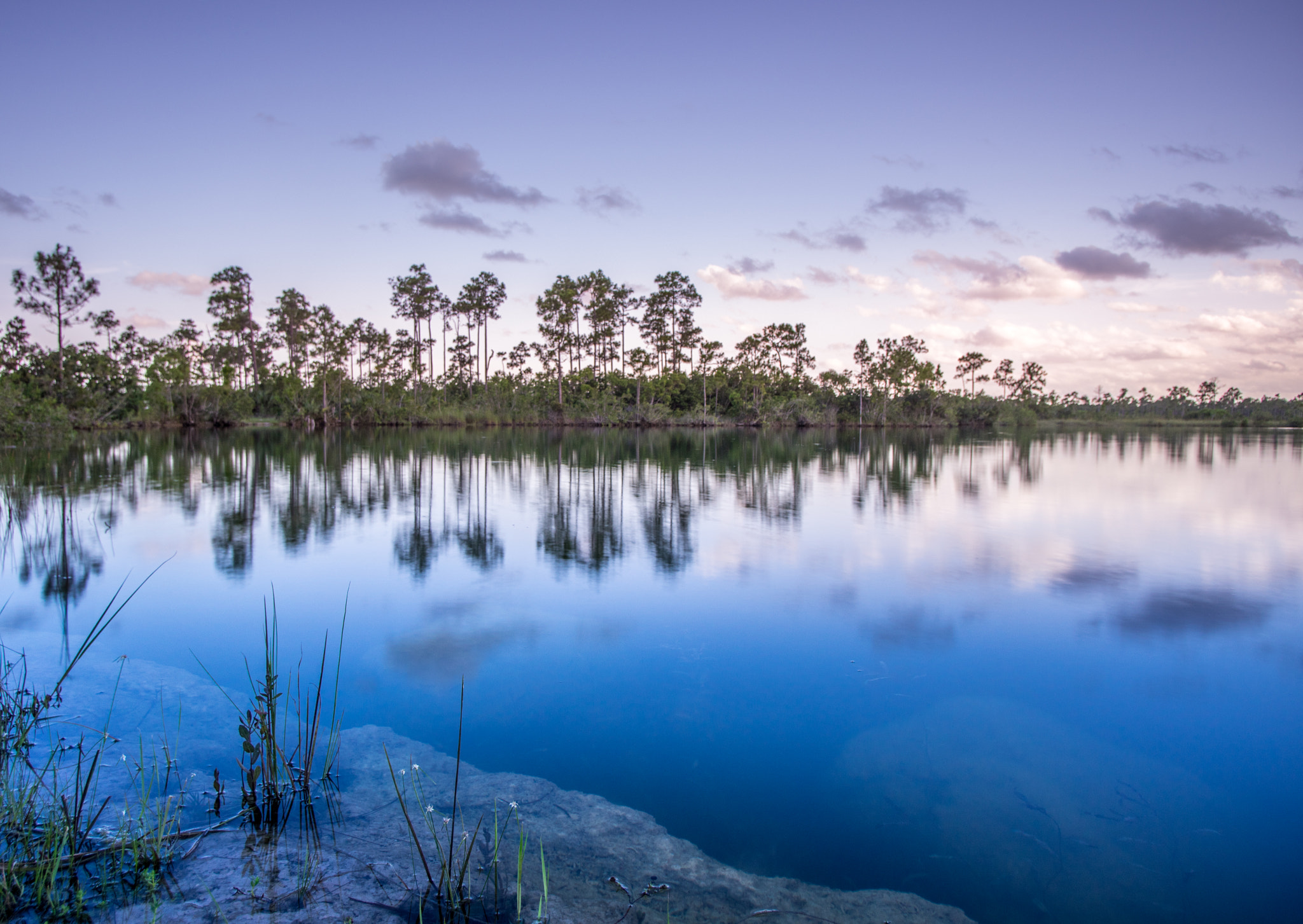 Pentax smc DA 15mm F4 ED AL Limited sample photo. Everglades sunset photography
