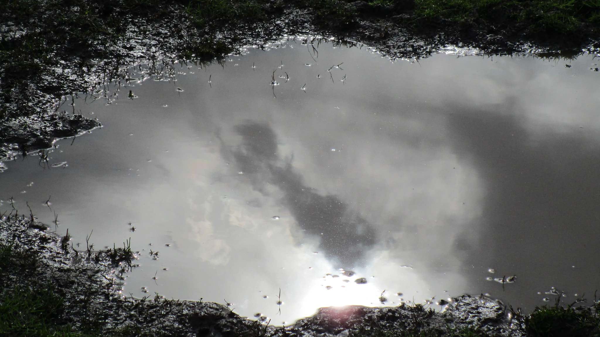 Canon PowerShot ELPH 150 IS (IXUS 155 / IXY 140) sample photo. "reflejos". mayo 2014 photography