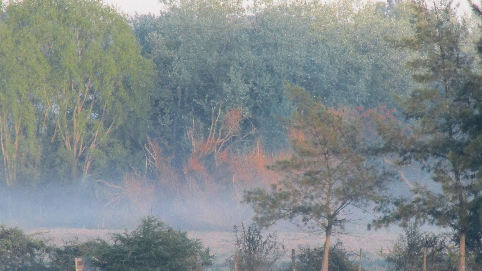 Canon PowerShot ELPH 150 IS (IXUS 155 / IXY 140) sample photo. "tras la niebla...." julio de 2014 photography