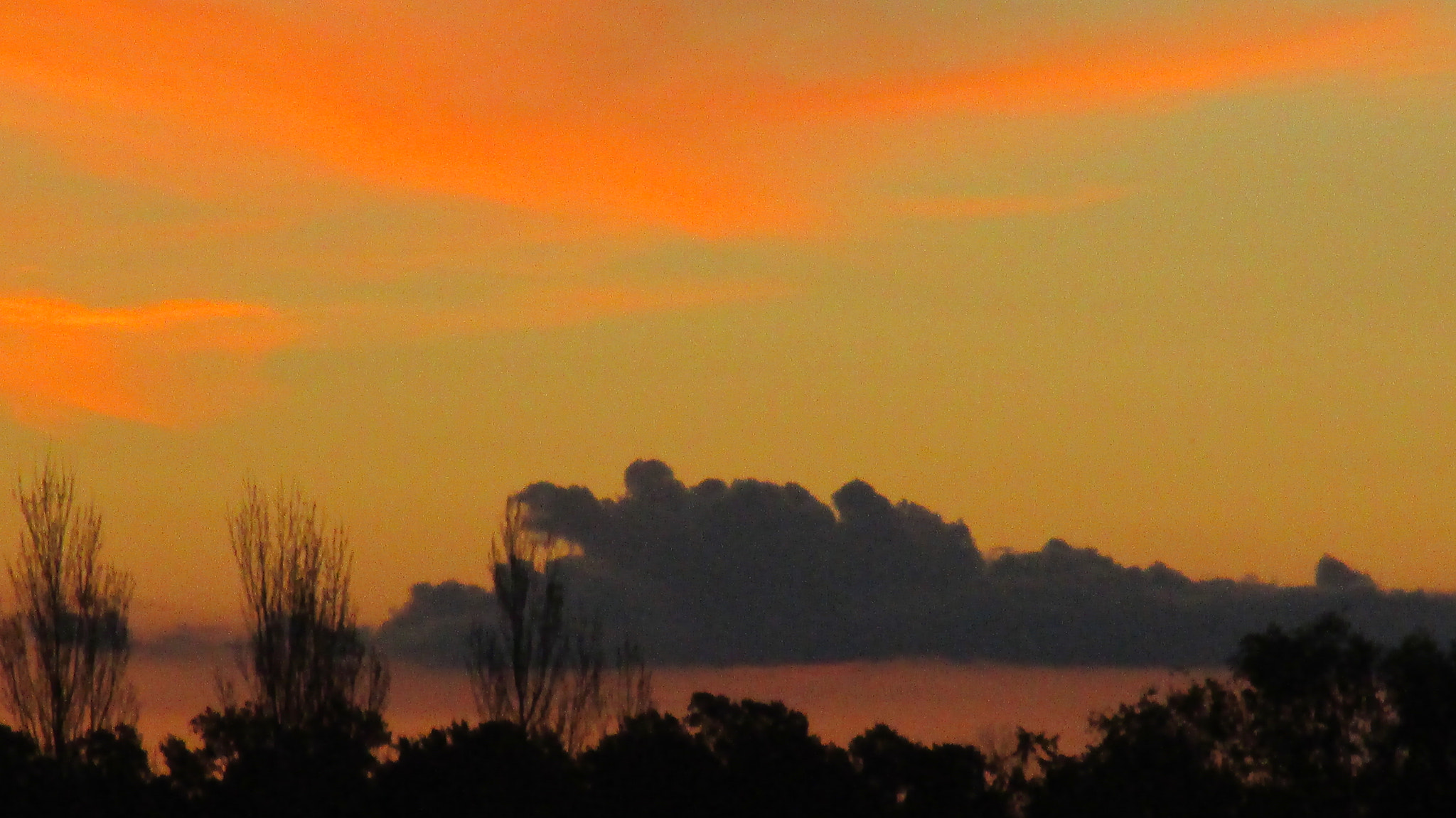 Canon PowerShot ELPH 150 IS (IXUS 155 / IXY 140) sample photo. "acuarela de la naturaleza". agosto de 2014 photography