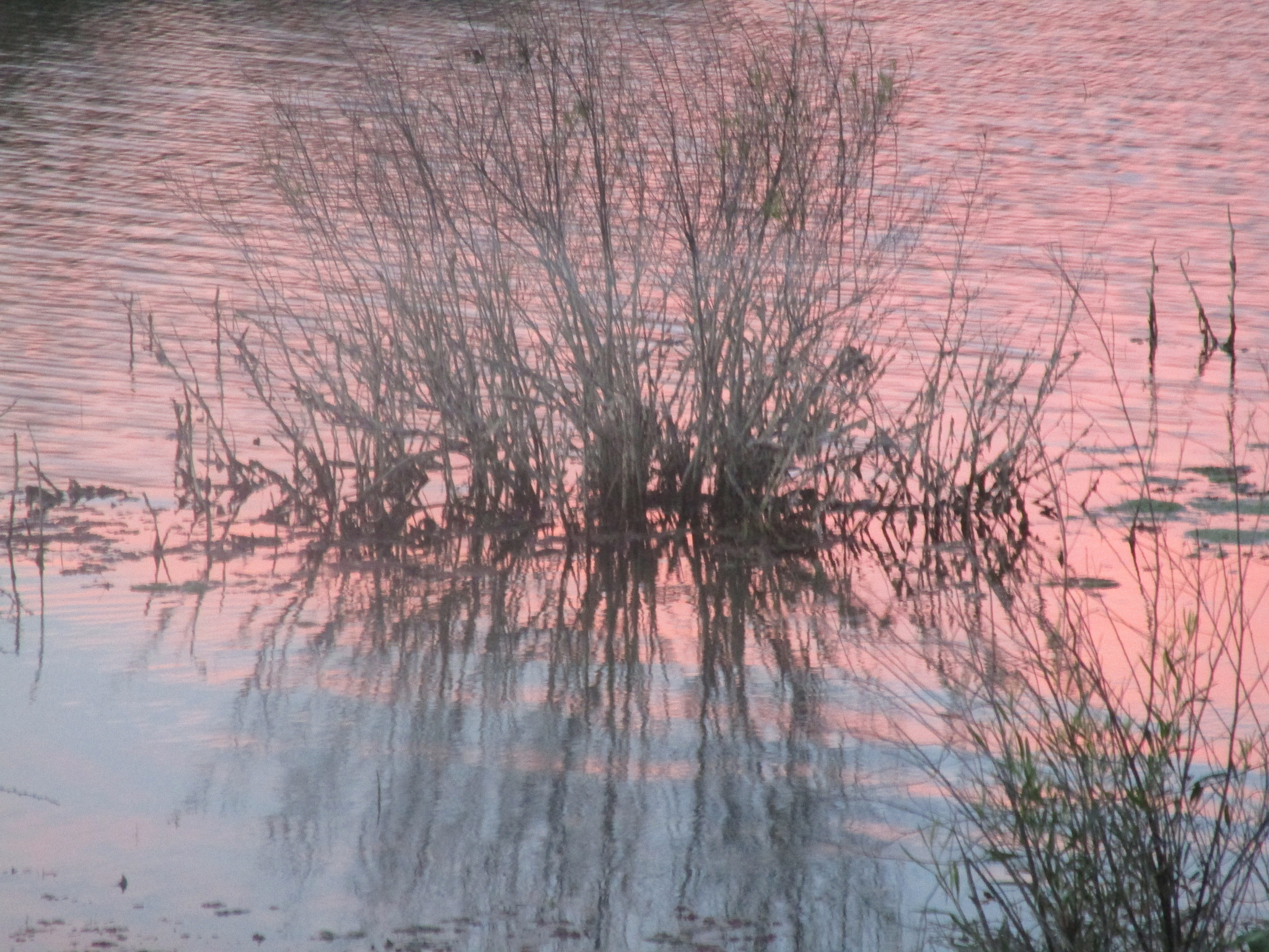 Canon PowerShot ELPH 150 IS (IXUS 155 / IXY 140) sample photo. "lago encantado" junio de 2015, capilla del monte, cordoba photography