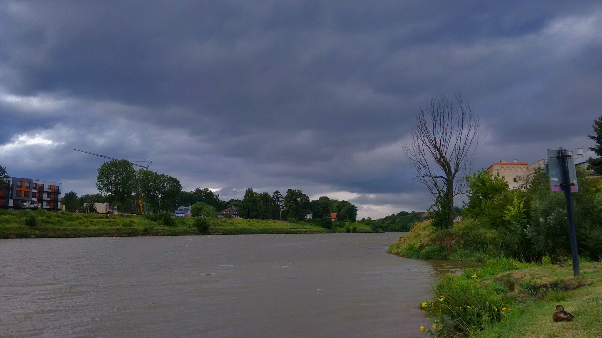 Motorola Moto G with 4G LTE (2nd Gen) sample photo. Duck photography
