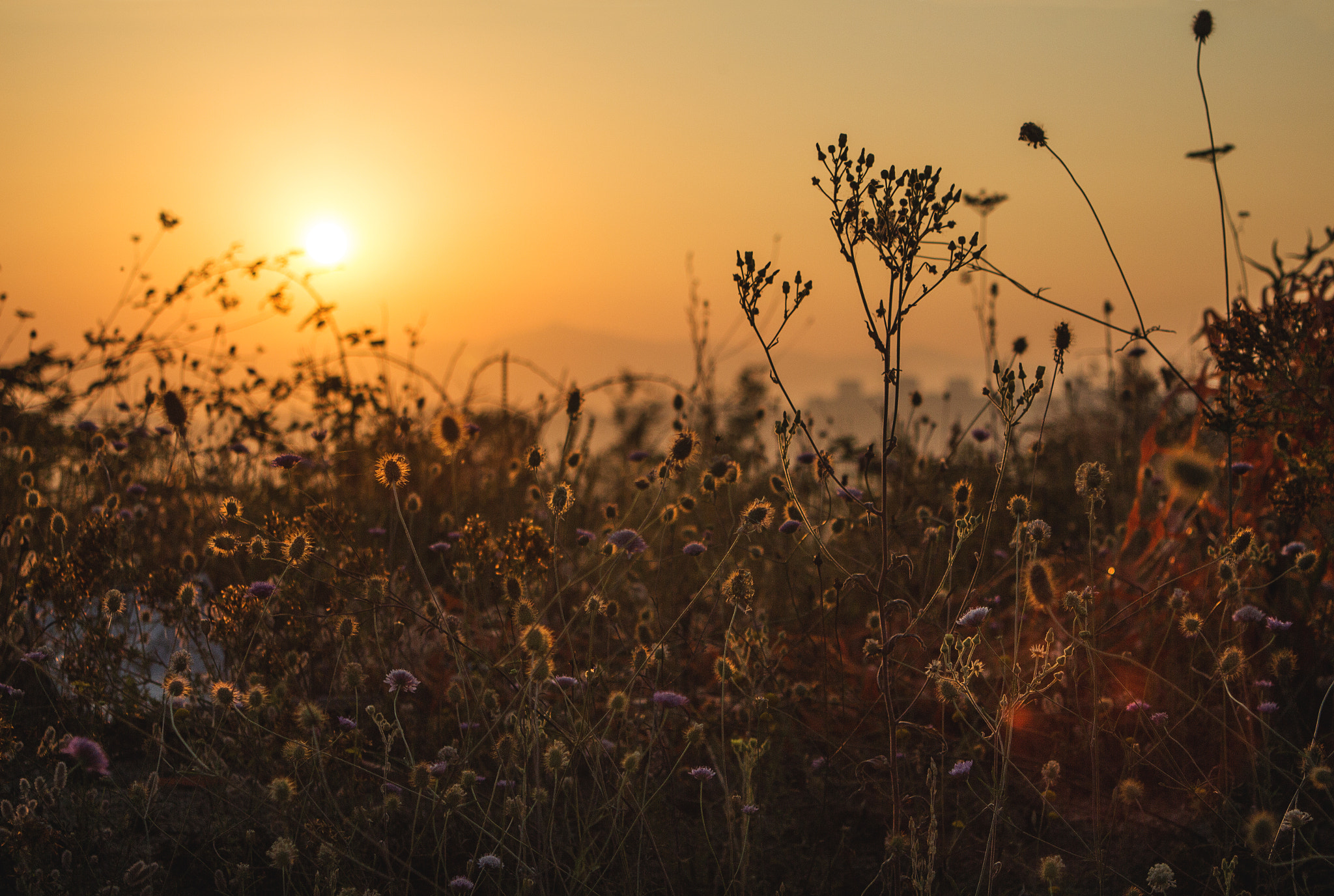 Canon EOS 650D (EOS Rebel T4i / EOS Kiss X6i) sample photo. Sunrise in rome photography