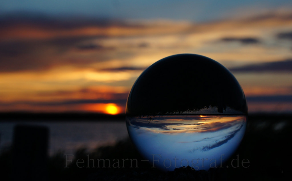 Sony Alpha DSLR-A580 sample photo. __°o_ photography