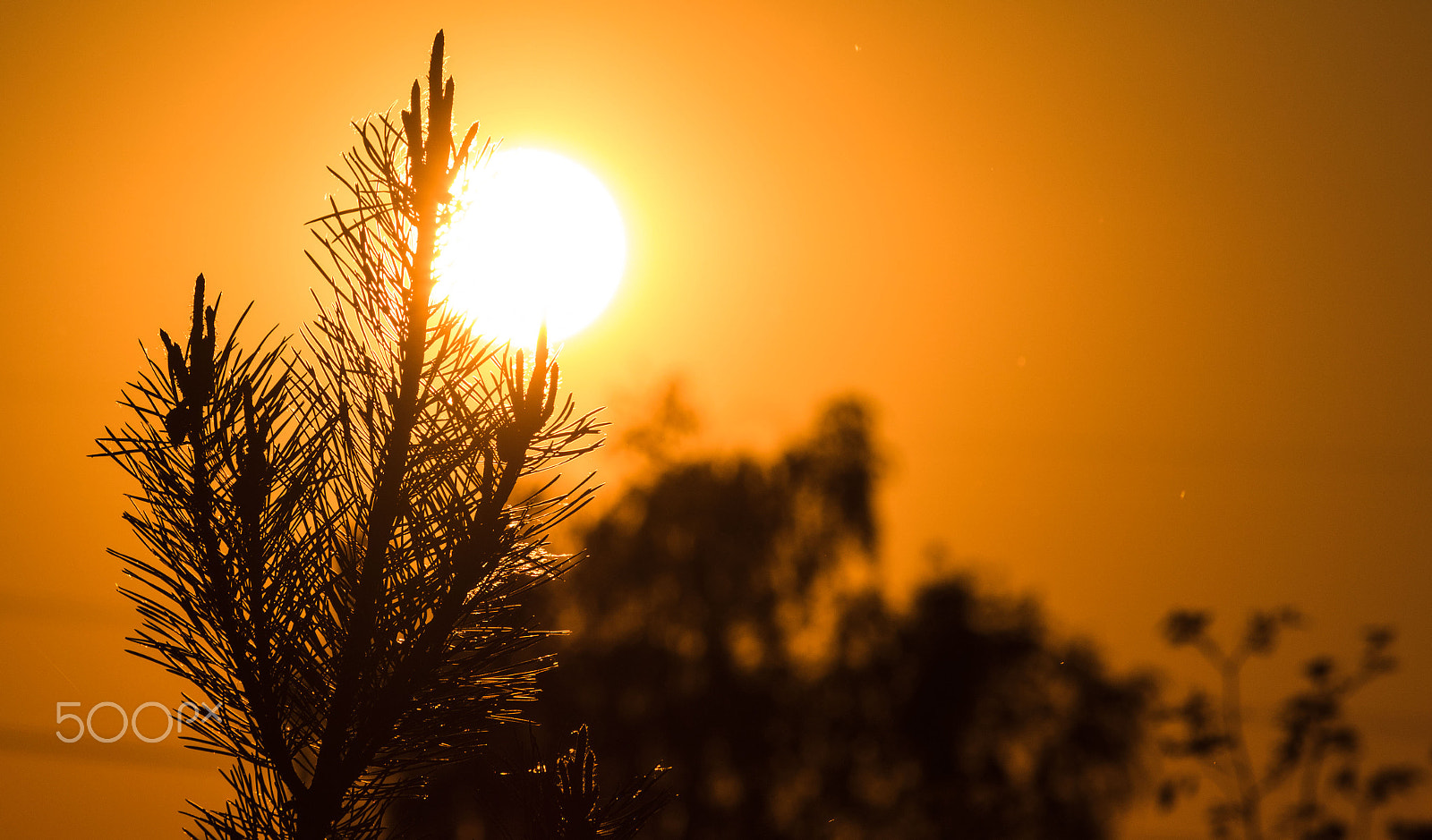 Canon EOS 750D (EOS Rebel T6i / EOS Kiss X8i) sample photo. Sunset austria photography