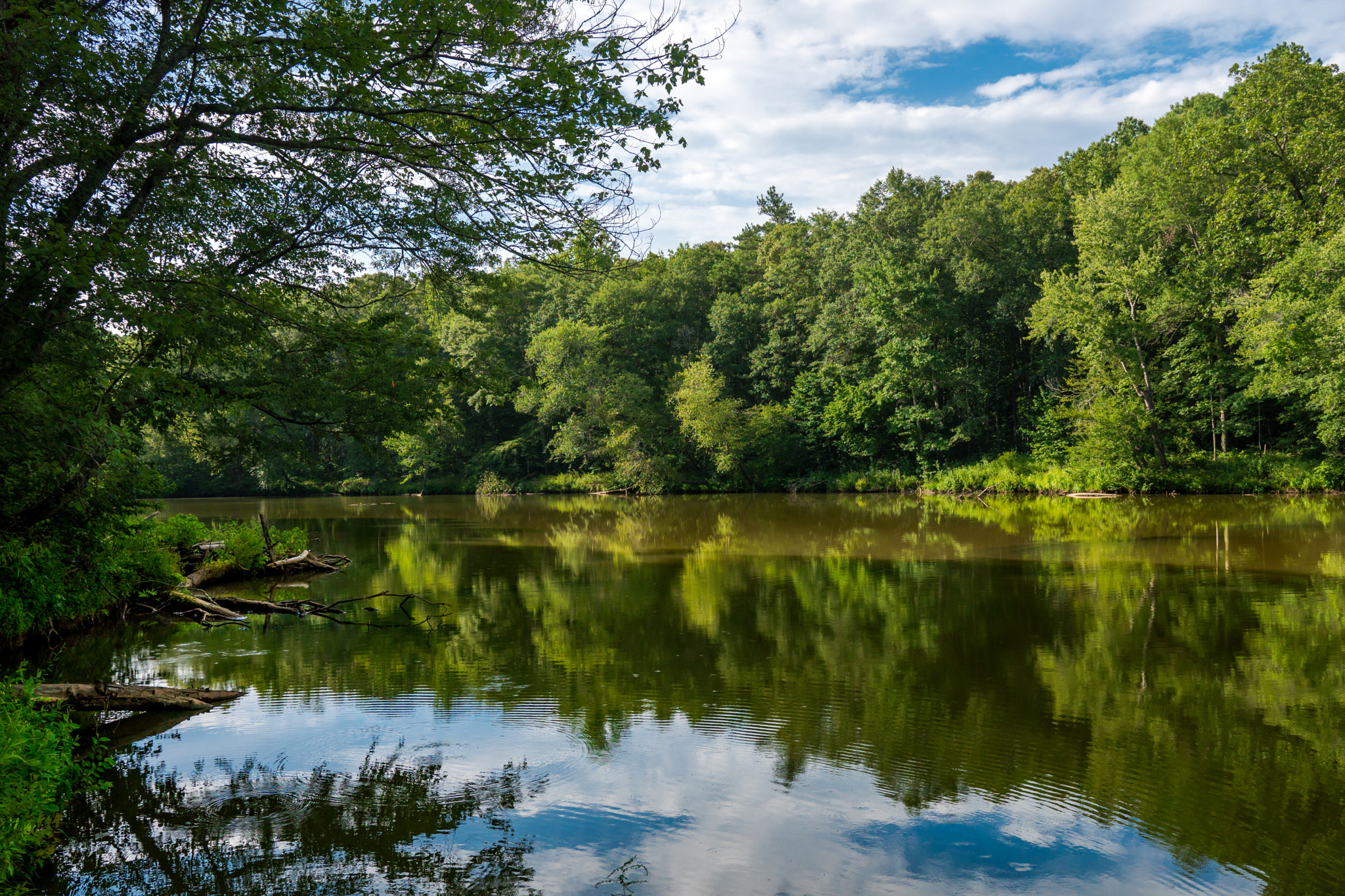Sony a6300 + 18-35mm F1.8 DC HSM | Art 013 sample photo. Reflections photography