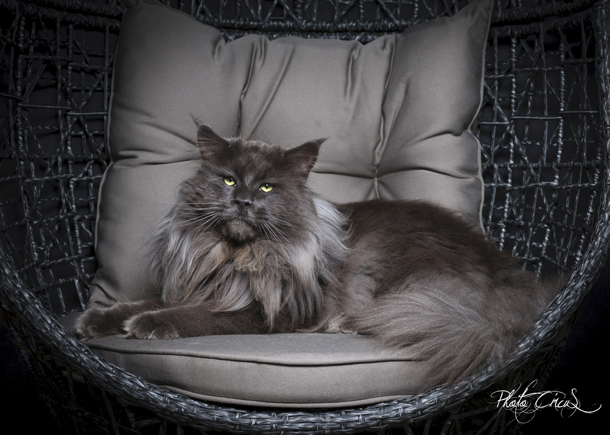 Canon EOS-1Ds Mark III sample photo. Apollo photography