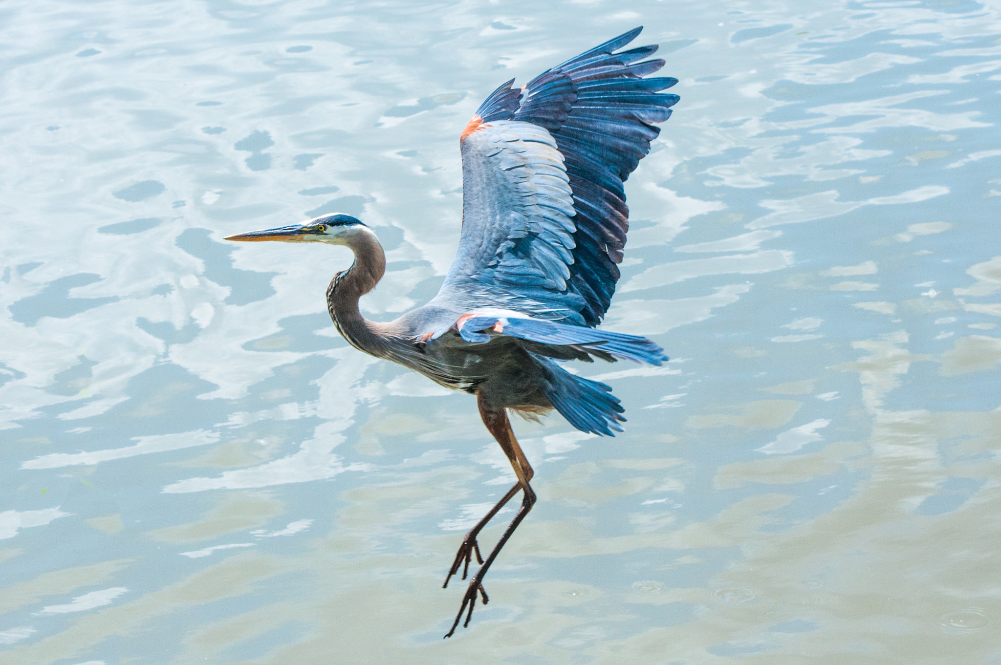 Nikon AF-S Nikkor 70-200mm F2.8G ED VR II sample photo. Dance photography