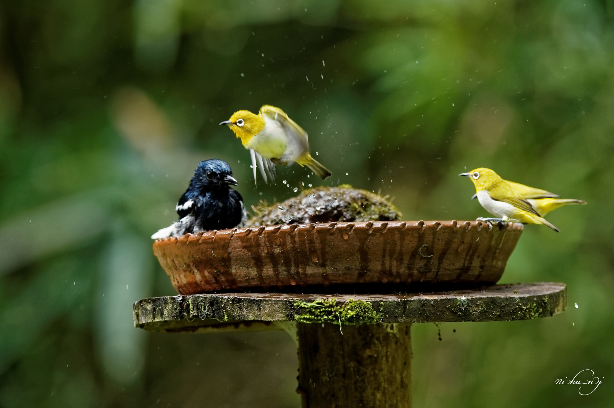 Nikon AF-S Nikkor 400mm F2.8E FL ED VR sample photo. Time to go photography