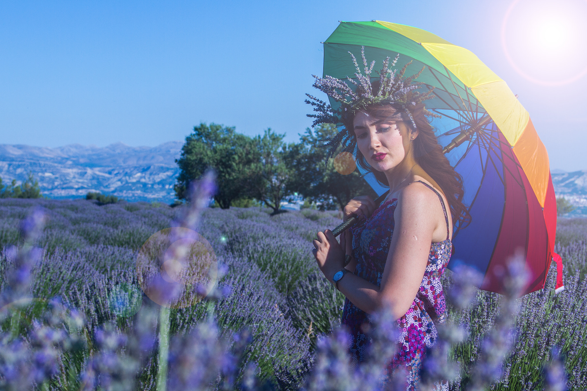 Canon EF 28-70mm f/3.5-4.5 sample photo. Lavender photography