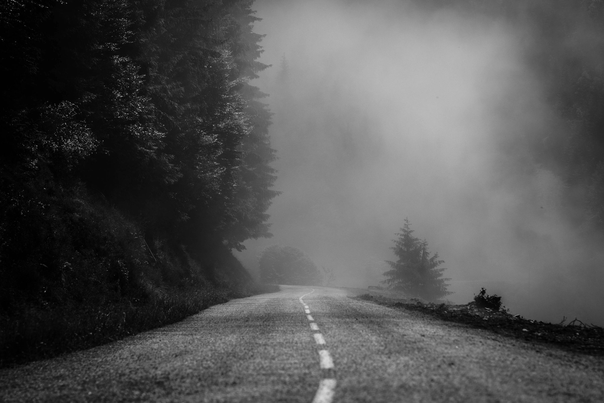 Canon EOS 70D + Canon EF 50mm F1.2L USM sample photo. In the mountains photography