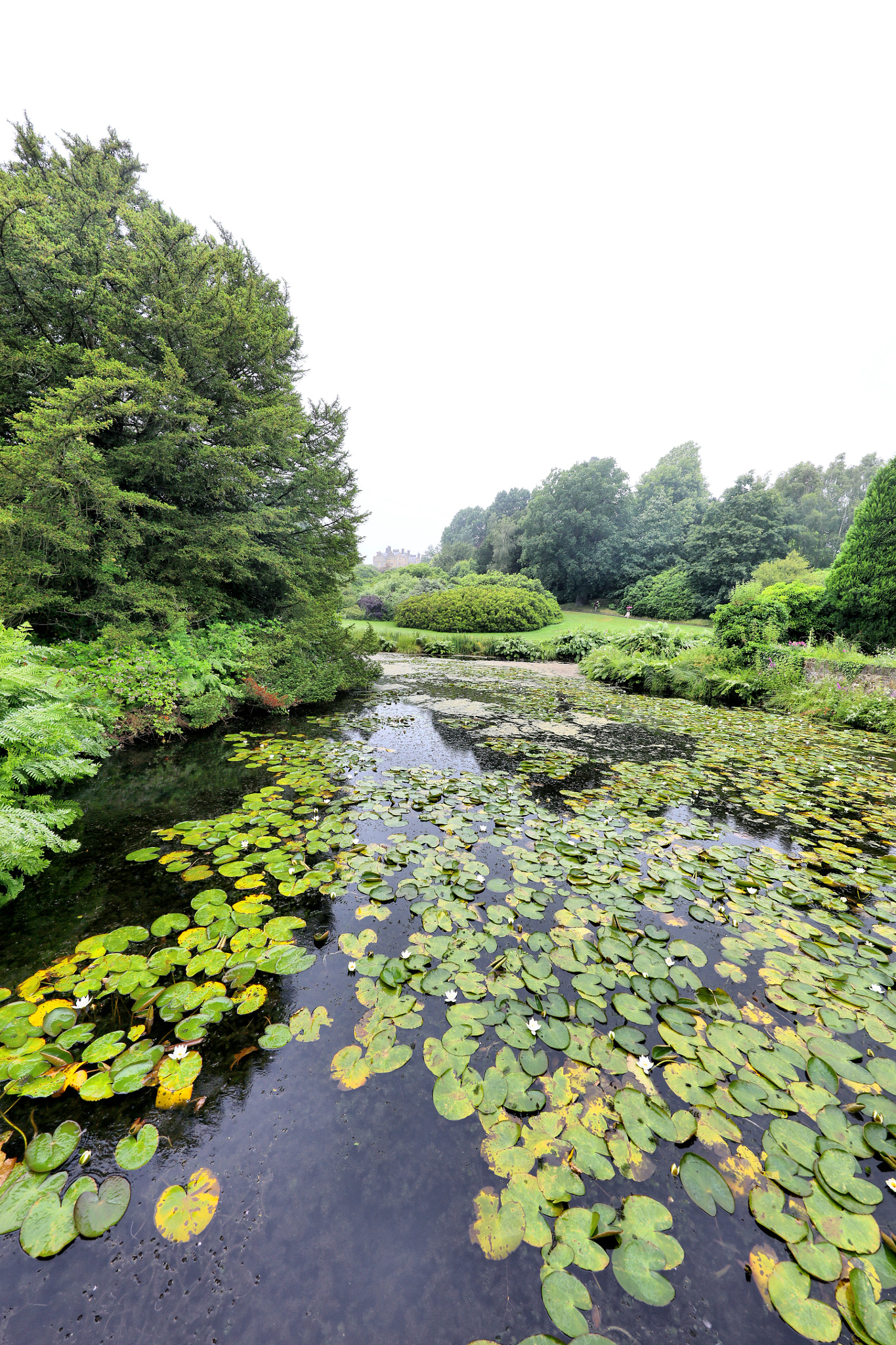 Canon EF 11-24mm F4L USM sample photo. Scotney castle photography