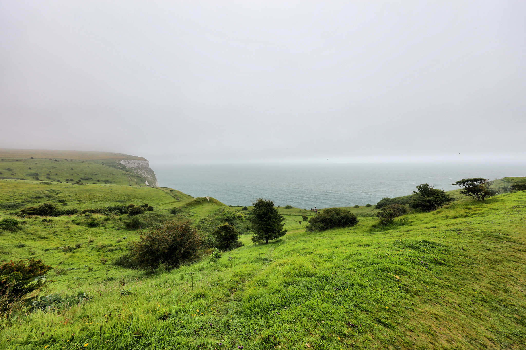 Canon EOS 5DS R + Canon EF 11-24mm F4L USM sample photo. The white cliffs of dover photography