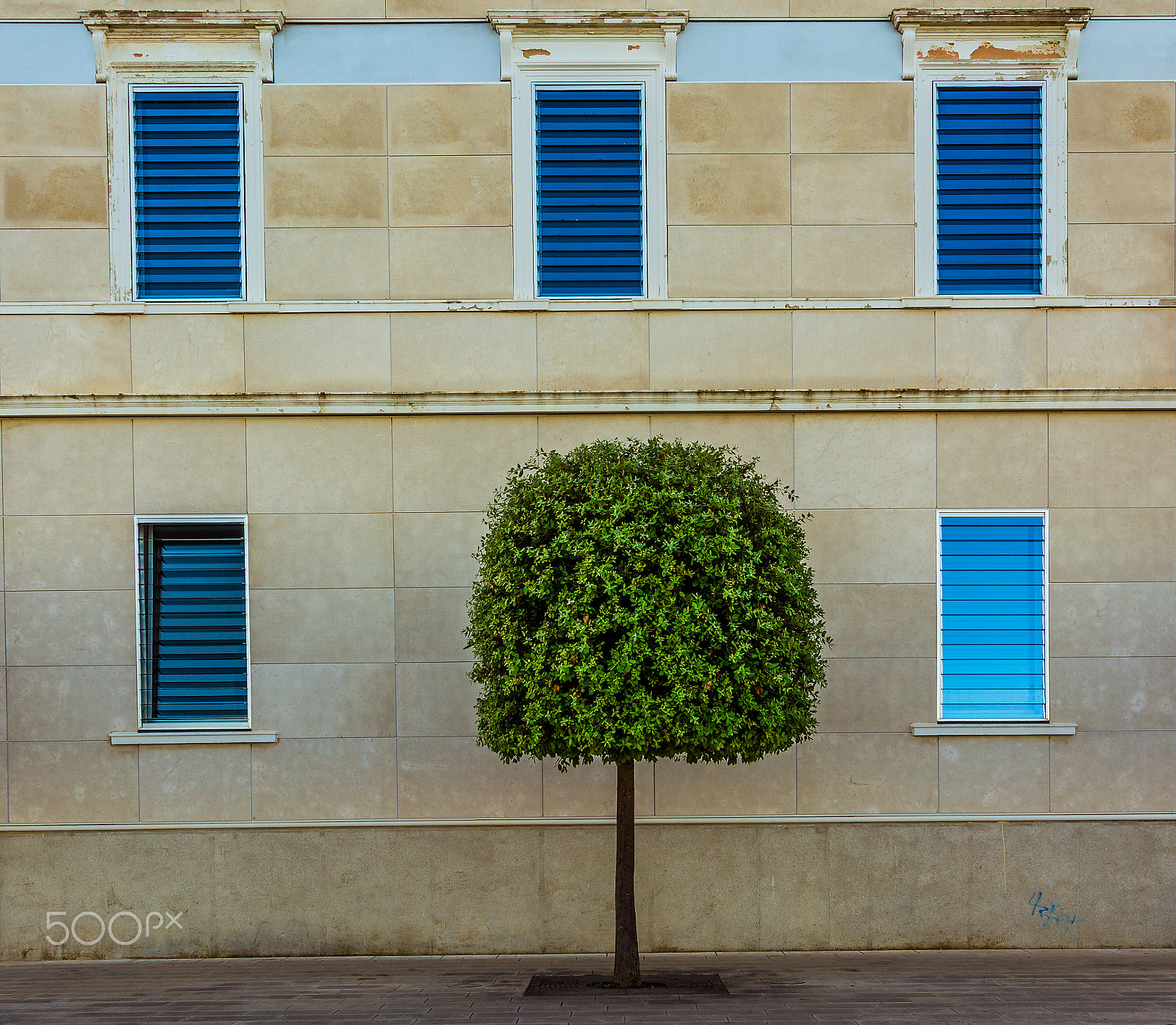 Nikon D7100 + Sigma 24-105mm F4 DG OS HSM Art sample photo. Between the windows photography