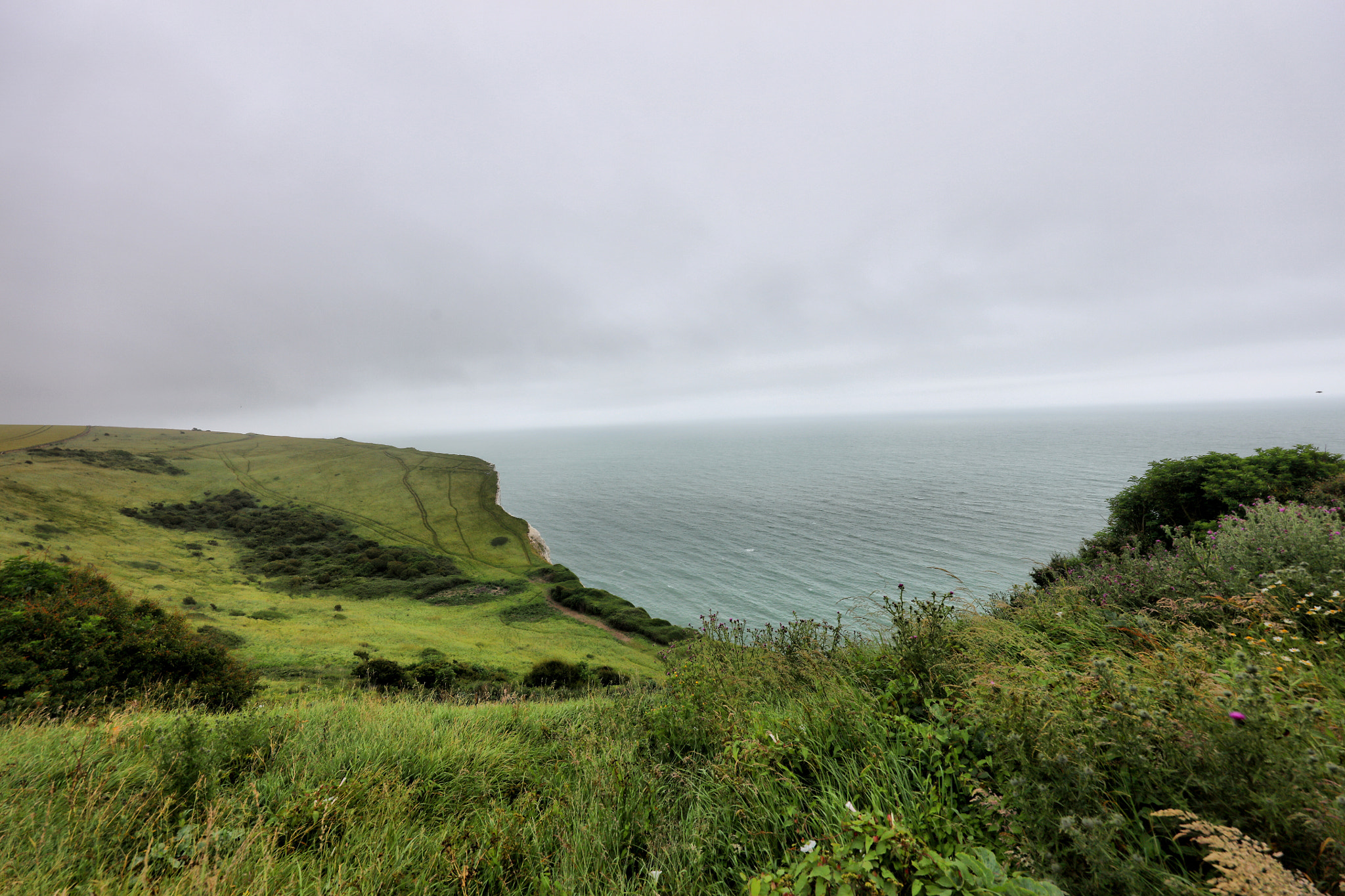 Canon EOS 5DS R + Canon EF 11-24mm F4L USM sample photo. The white cliffs of dover photography