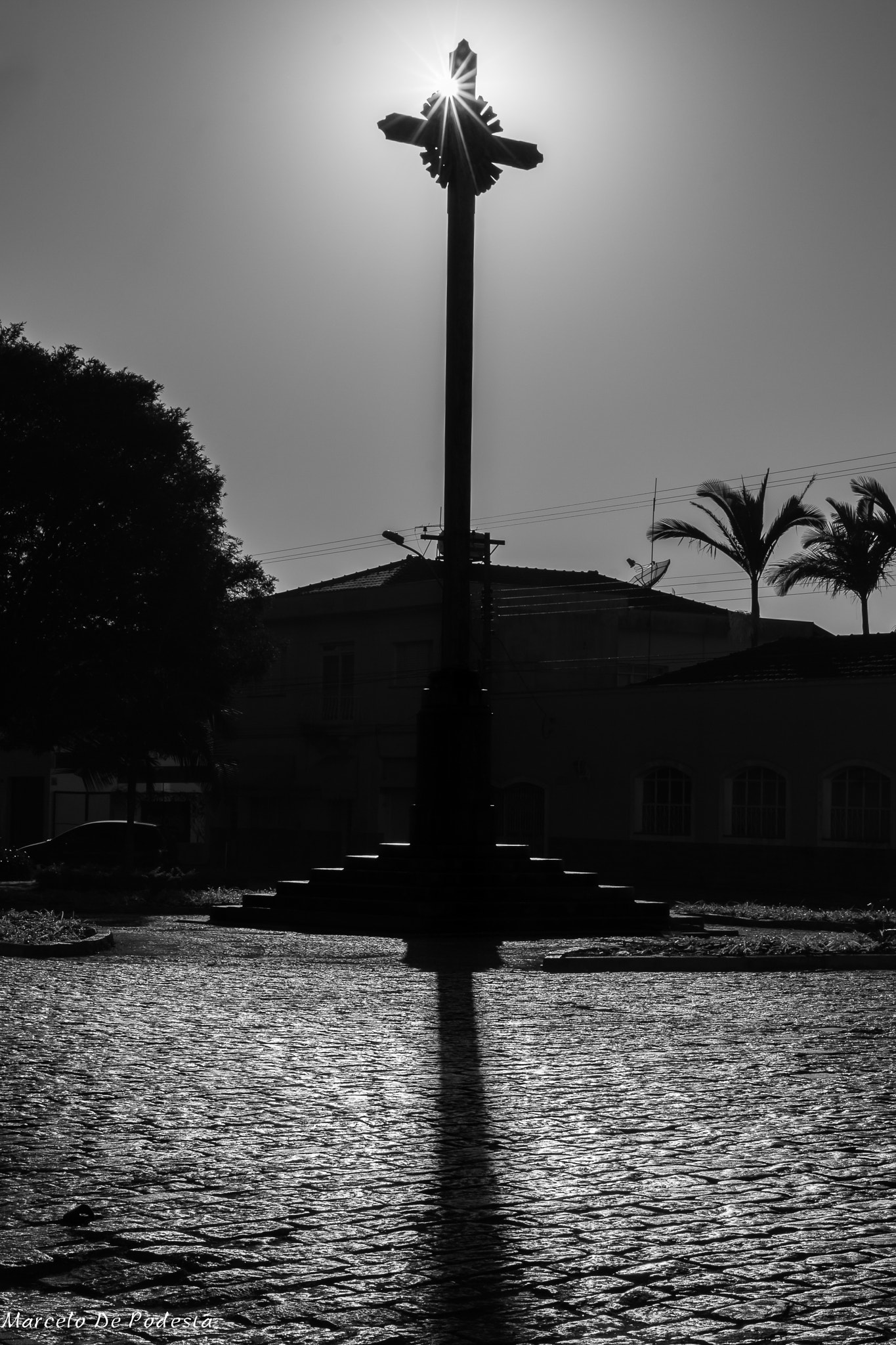 Canon EF 40mm F2.8 STM sample photo. Sunshine photography